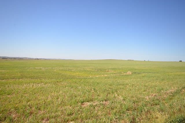 "Hogbens" Lot 494 Sings Road, Manoora SA 5414, Manoora - Thumbnail 6