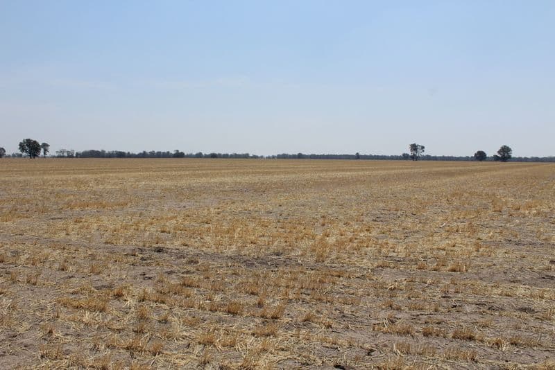 '' Kyona", Moree NSW 2400, Moree - Thumbnail 4