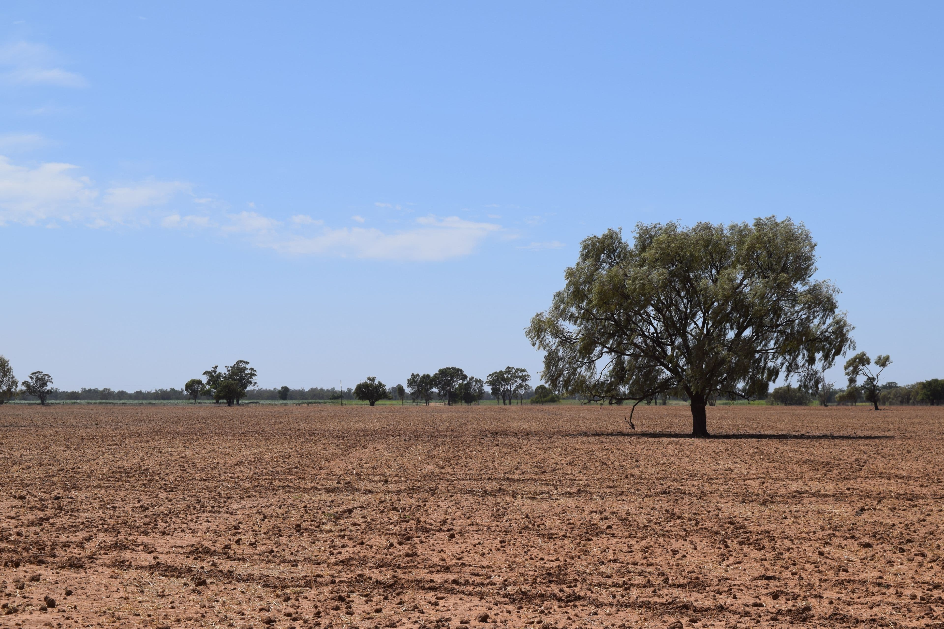 Part Gloming Bedgerebong Road, Forbes NSW 2871, Forbes - Thumbnail 2