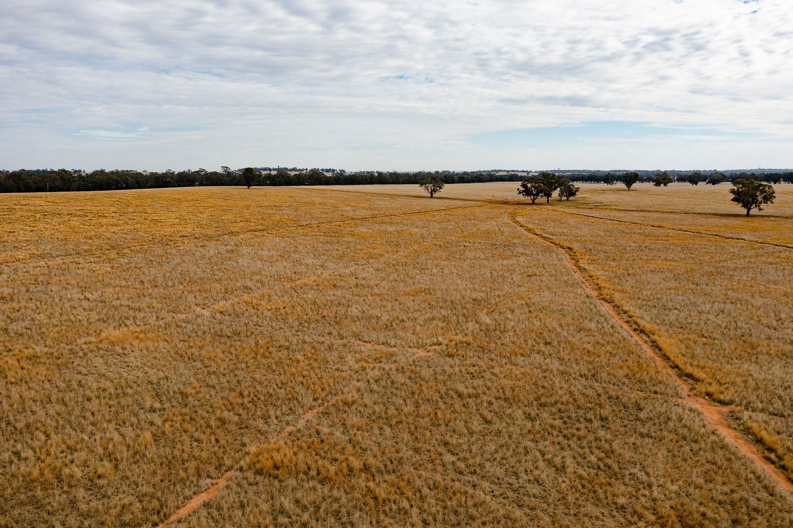 O'briens Coolamon Road, Coolamon NSW 2701, Coolamon - Thumbnail 4