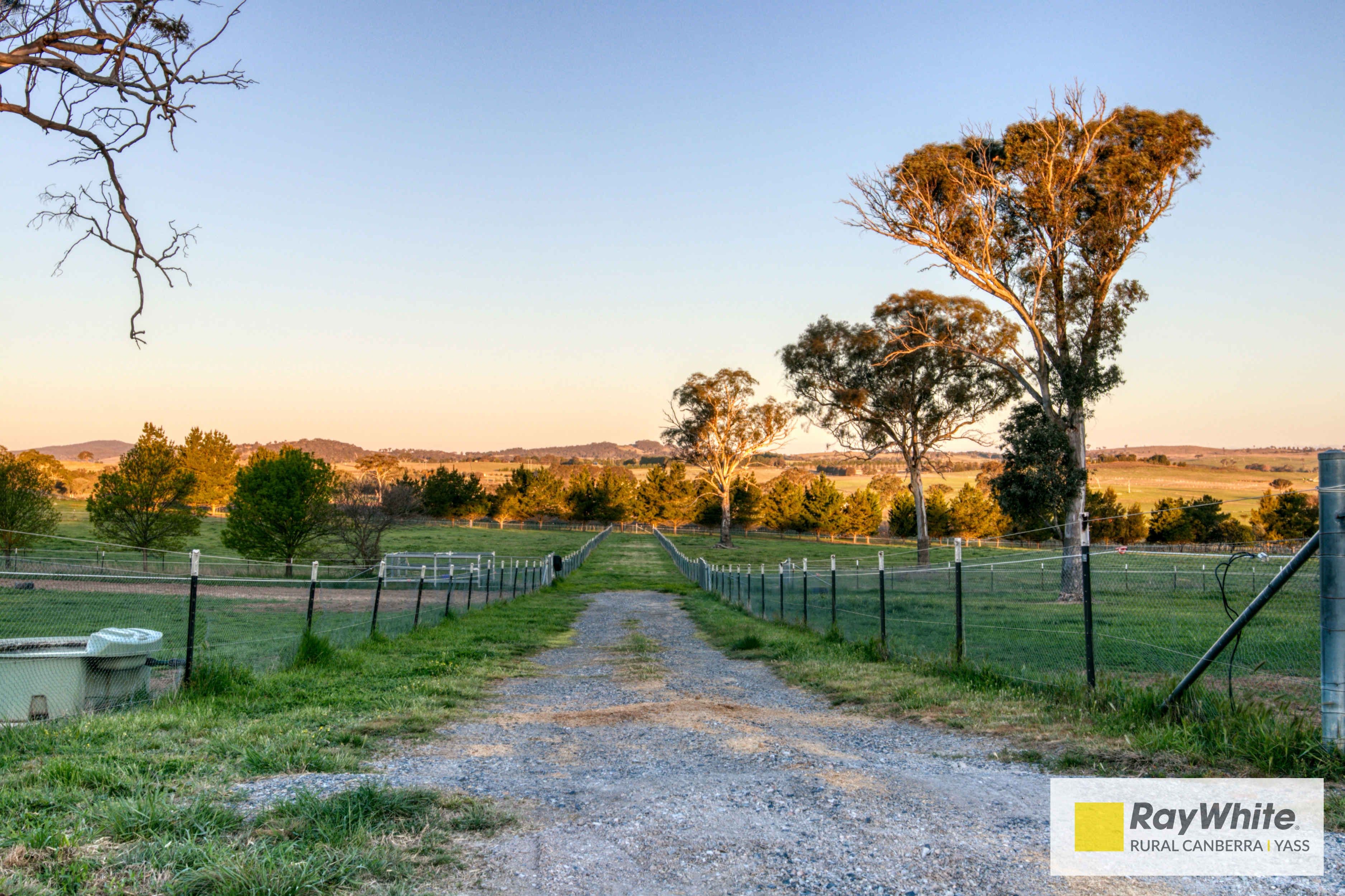 4 Ryslipp Drive, Murrumbateman NSW 2582, Murrumbateman - Thumbnail 6