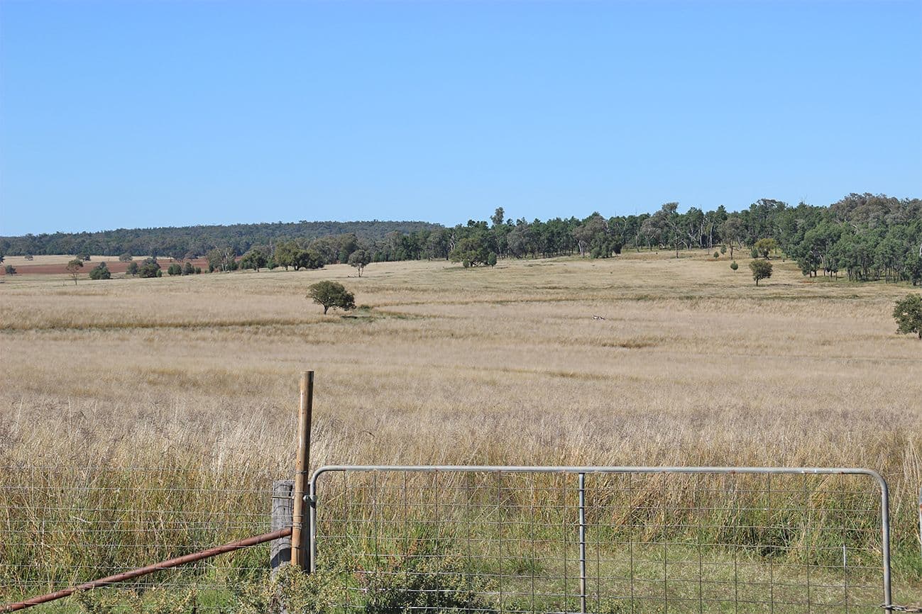 Coonabarabran NSW 2357, Coonabarabran - Thumbnail 6