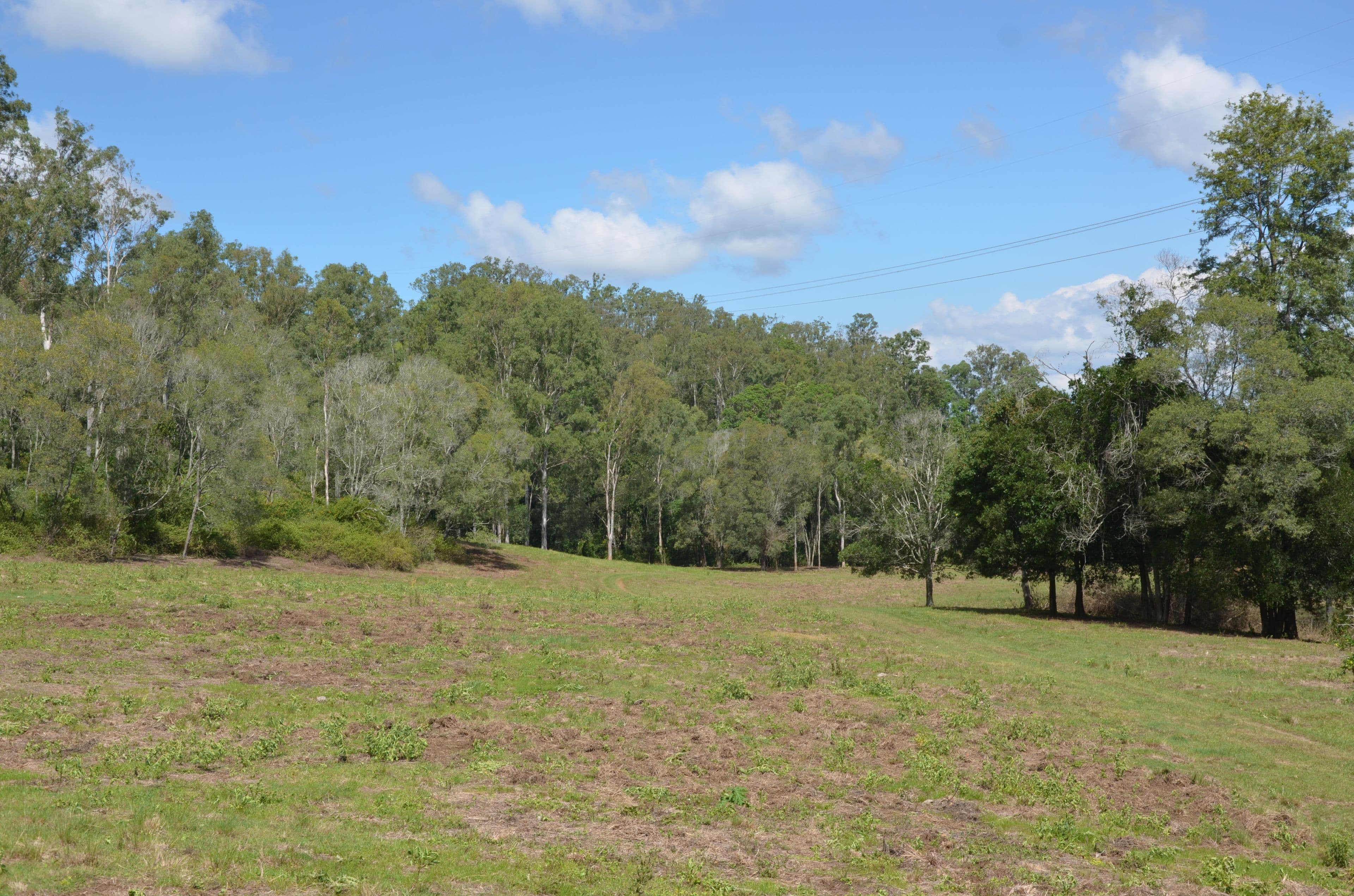 Rush Creek QLD 4521, Rush Creek - Thumbnail 2