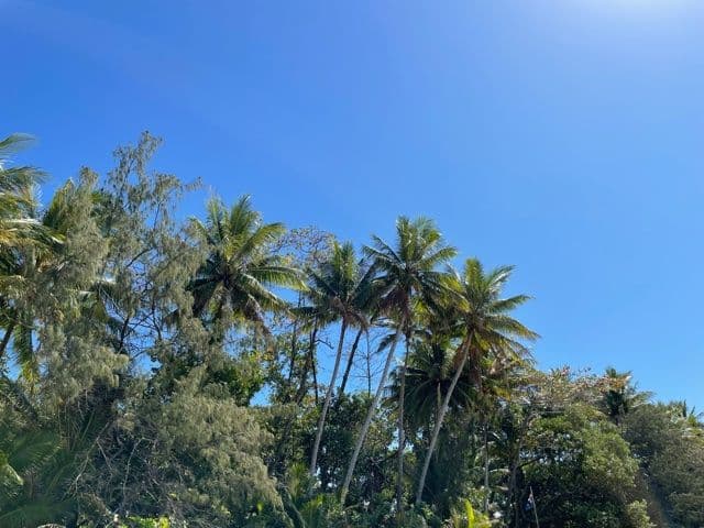 3 Julia Close, Wonga Beach QLD 4873, Wonga Beach - Thumbnail 5