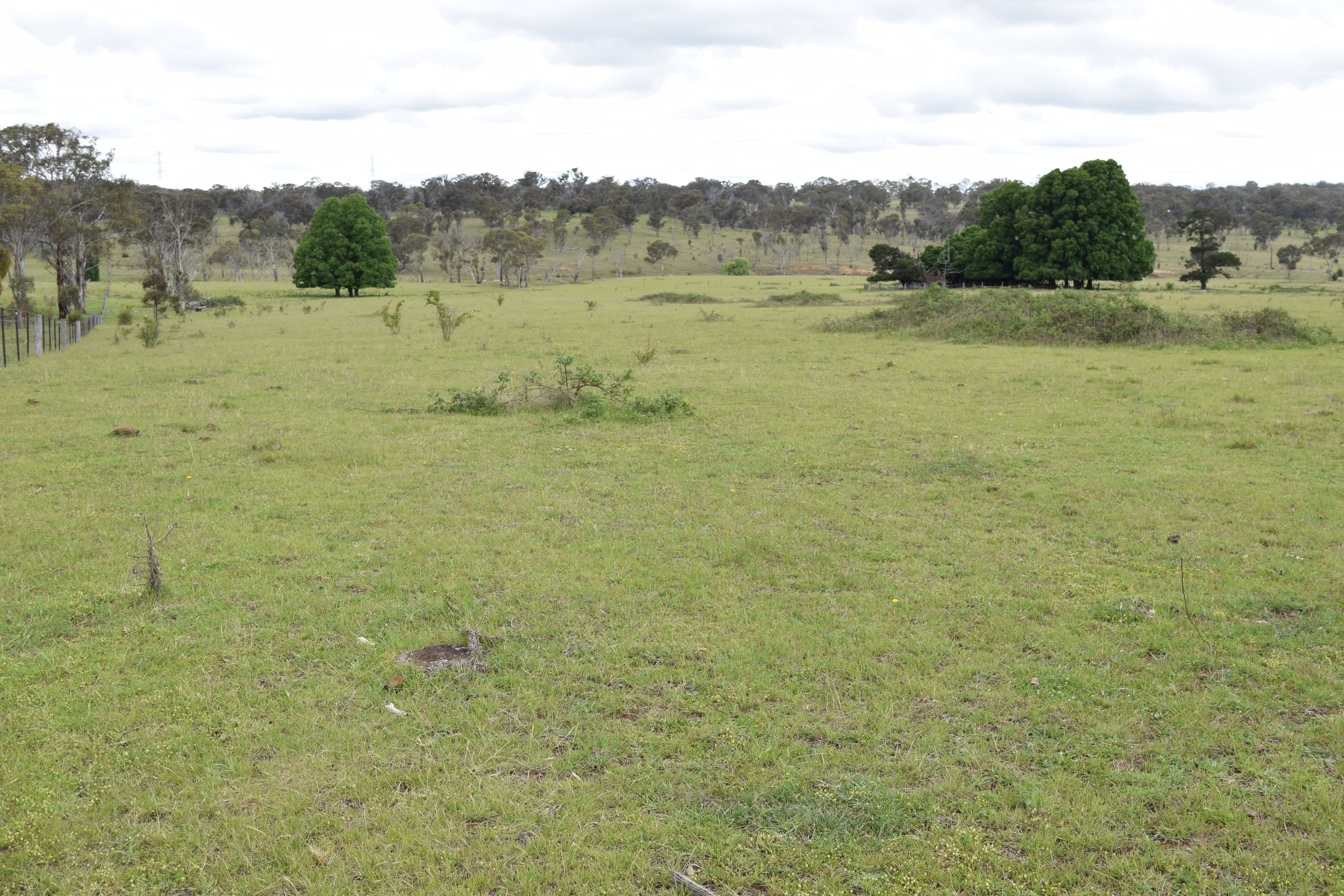 460 Donald Road, Armidale NSW 2350, Armidale - Thumbnail 5