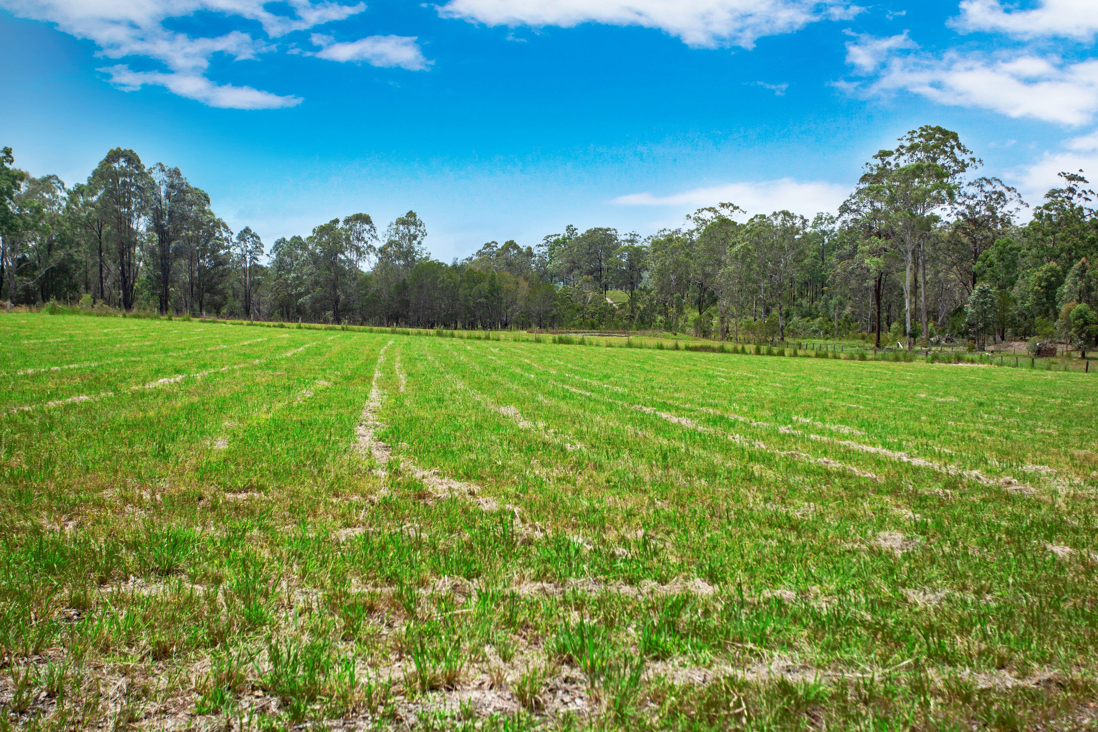 1032 Comboyne Road, Wingham NSW 2429, Wingham - Thumbnail 5