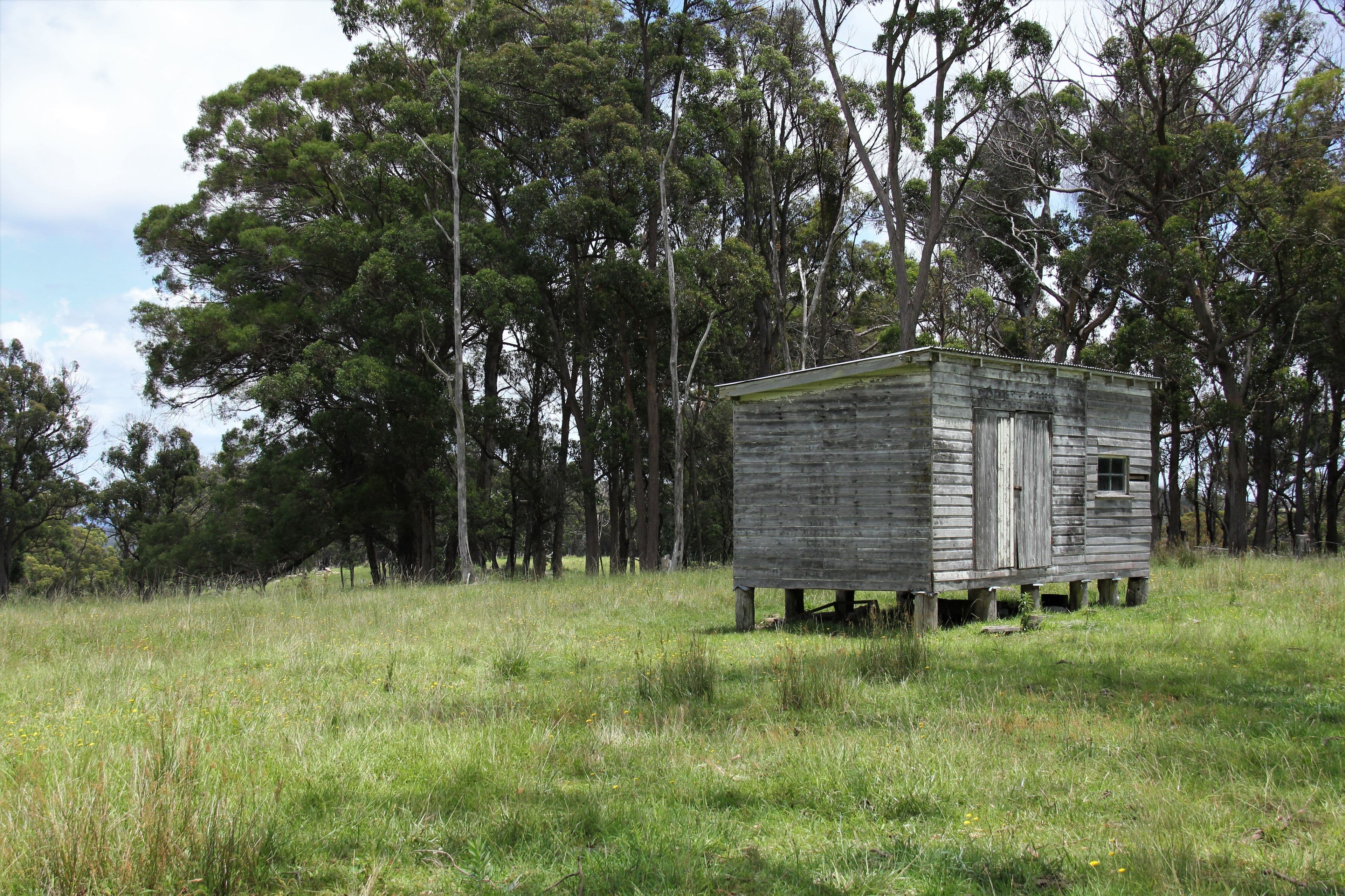 170 Bungulla Road, Tenterfield NSW 2372, Tenterfield - Thumbnail 2