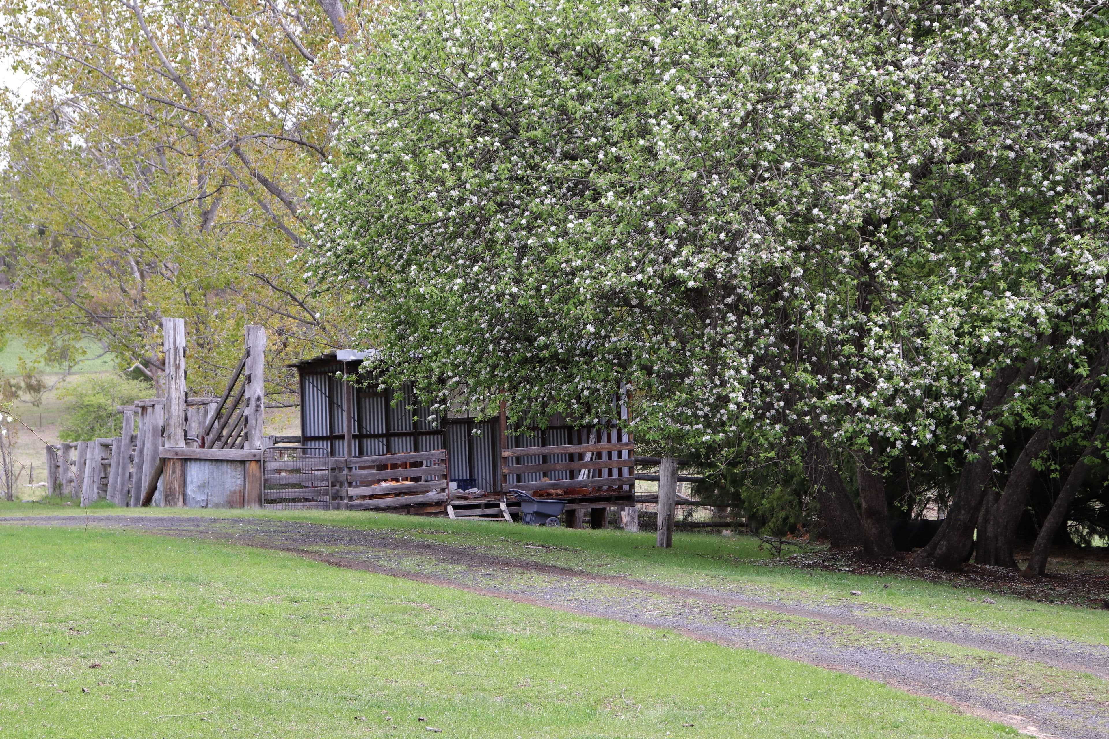 4 Dumaresq Street, Glen Innes - Thumbnail 4