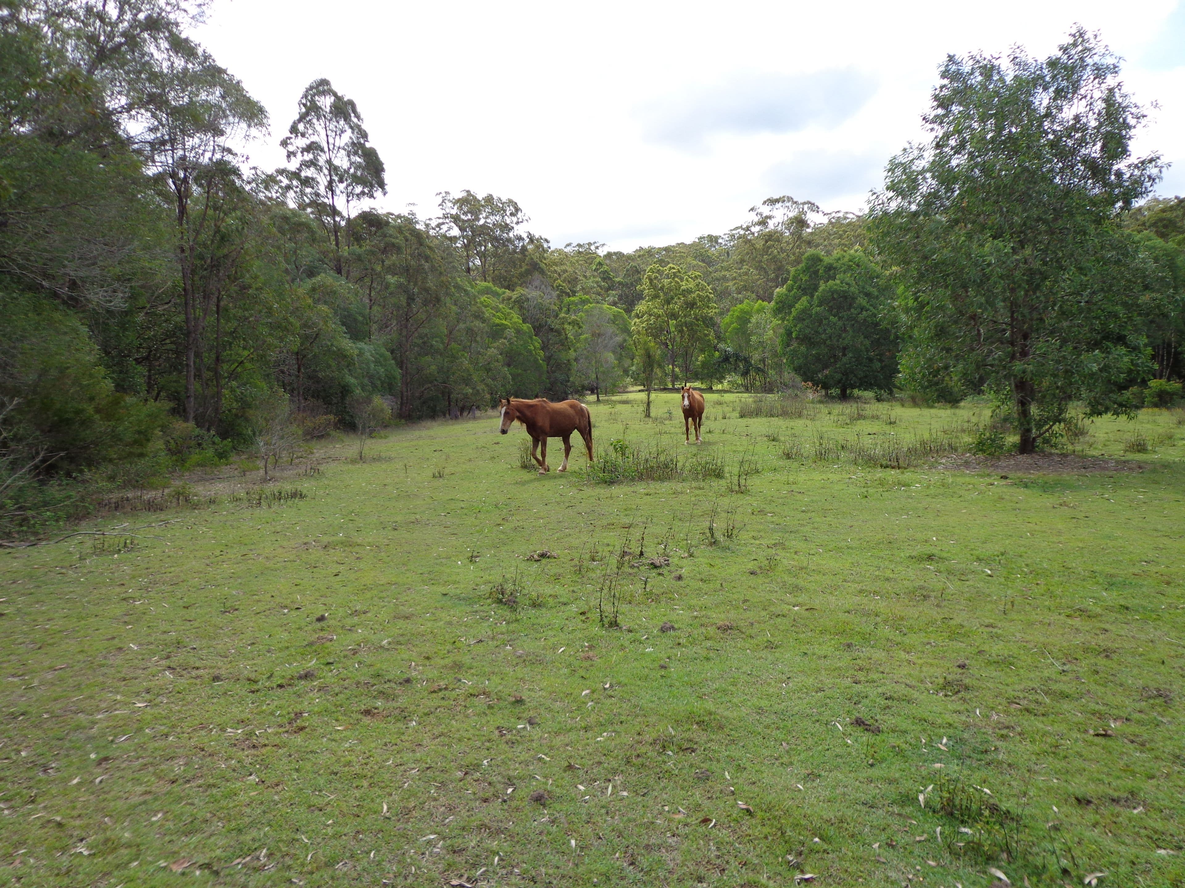 165A West Mount Cotton Road, Mount Cotton QLD 4165, Mount Cotton - Thumbnail 4