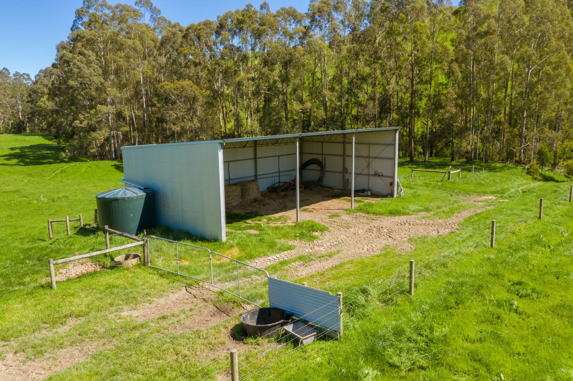 156 Fitzgeralds Road, Arawata VIC 3951, Arawata - Thumbnail 5