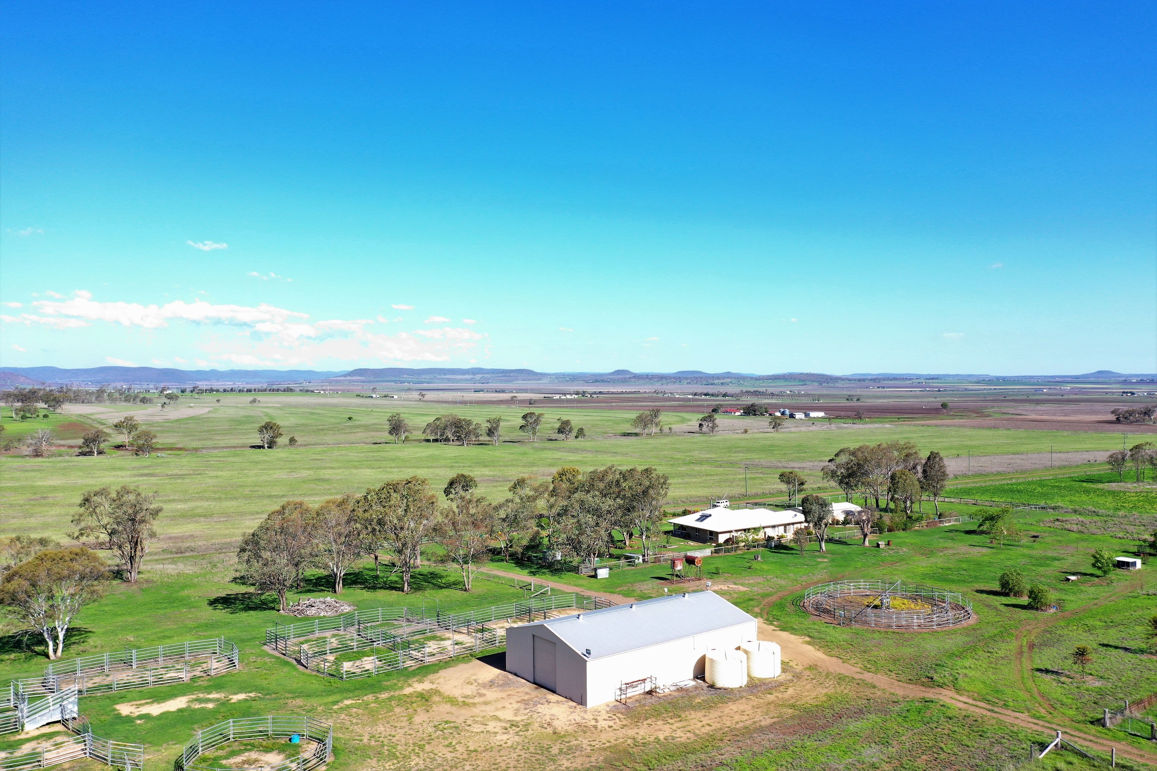 164 Palmer Road, NOBBY QLD 4360, Nobby - Thumbnail 2