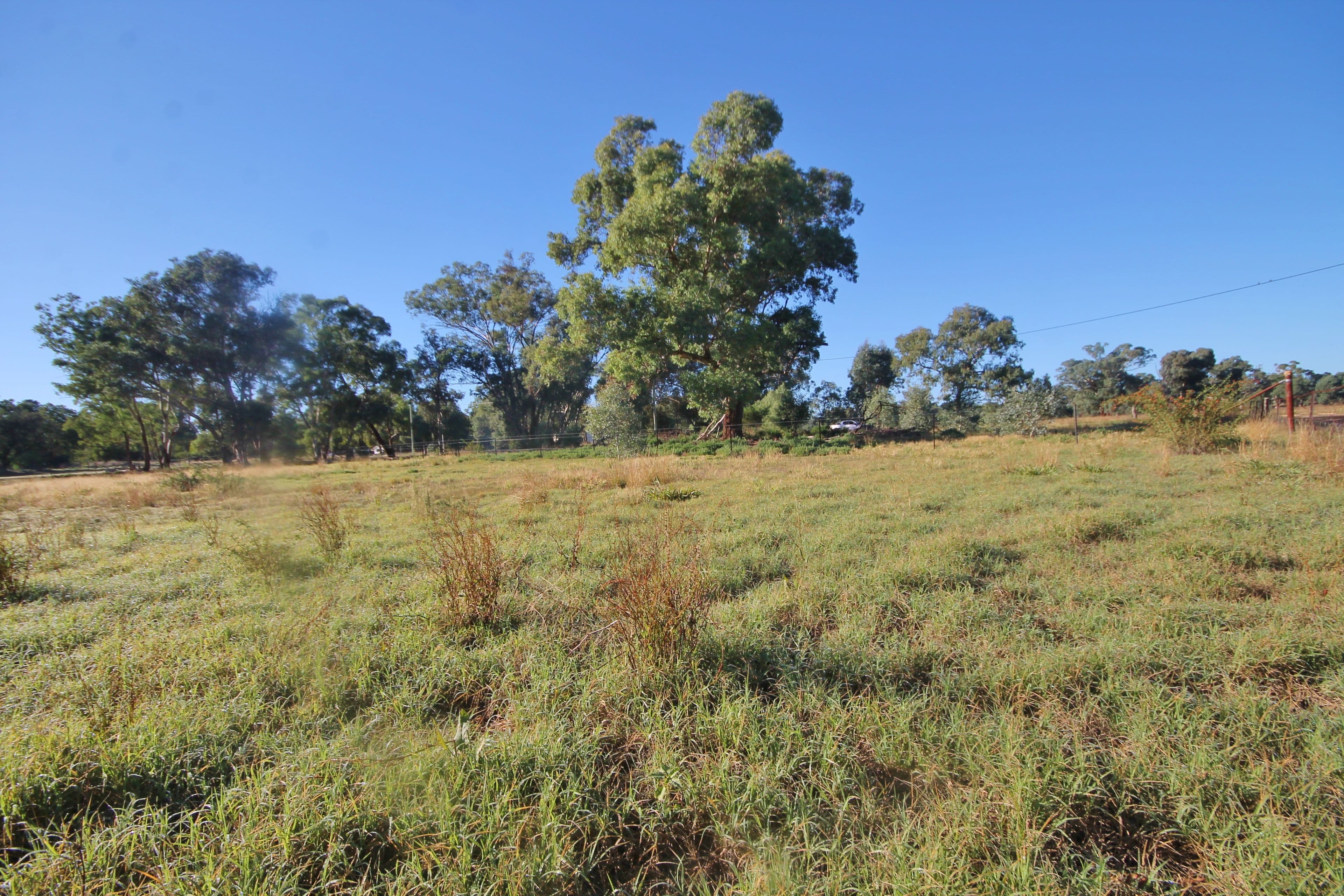 Lots 6&7, 24 Monteagle Stock Route Rd West, Monteagle NSW 2594, Monteagle - Thumbnail 4