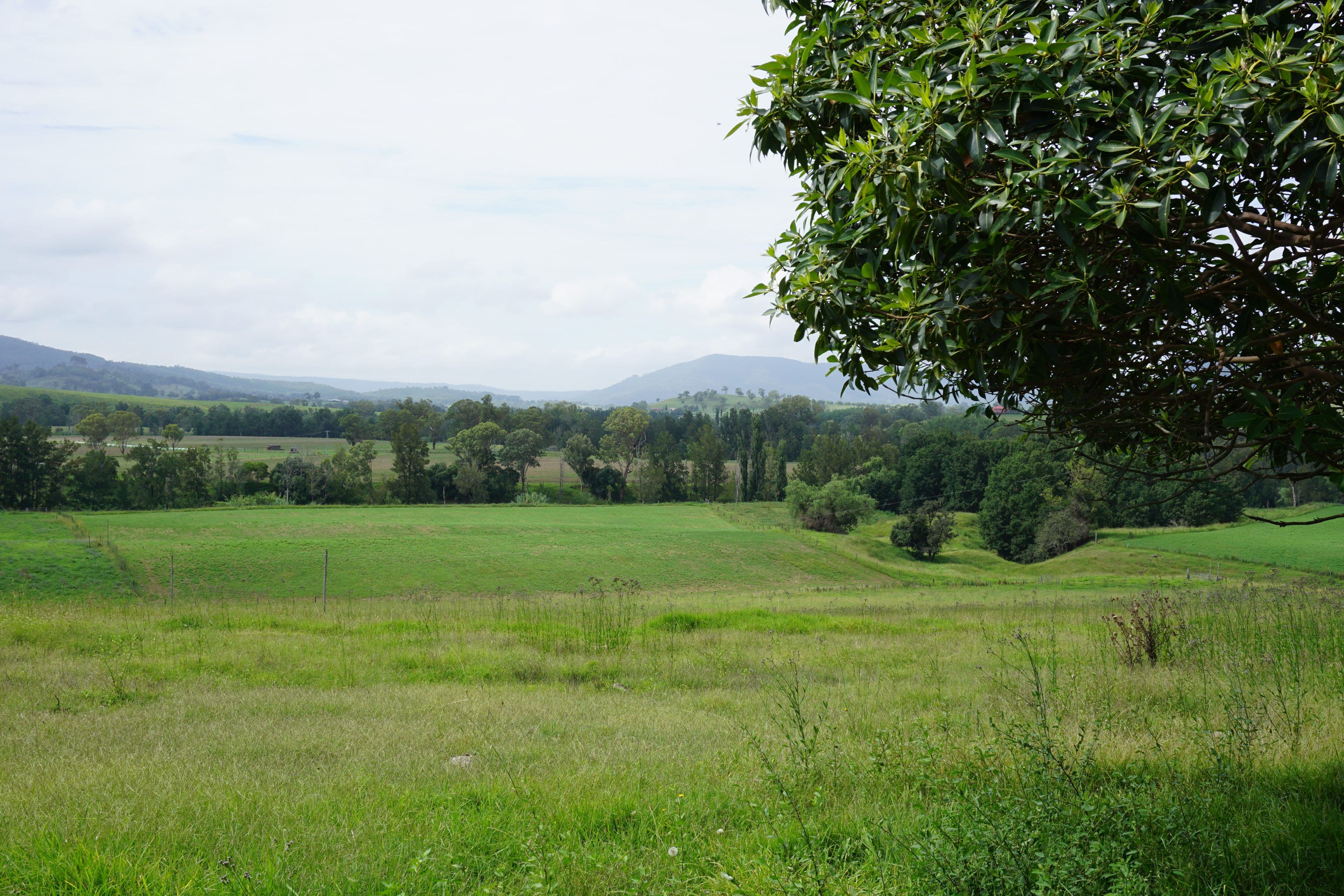 2484 Glendonbrook Road, Gresford NSW 2311, Gresford - Thumbnail 2