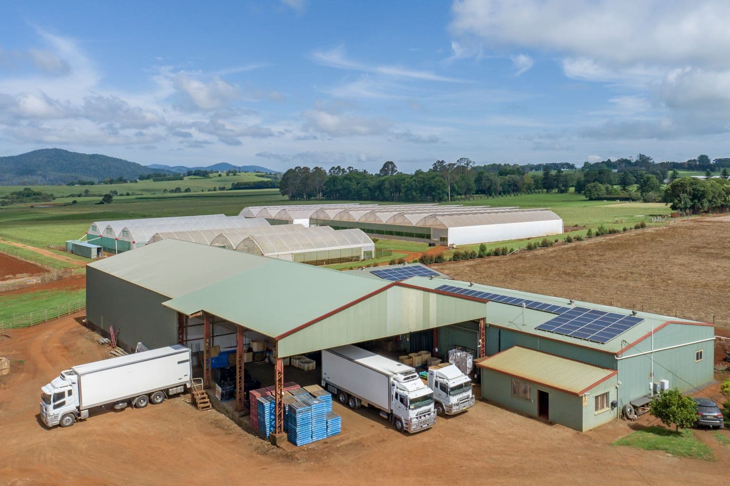 68 Paddys Plains Road, Dorrigo NSW 2453, Dorrigo - Thumbnail 5