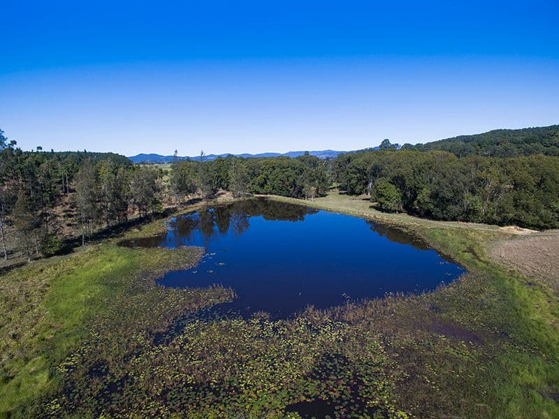 Murwillumbah NSW 2484, Murwillumbah - Thumbnail 5