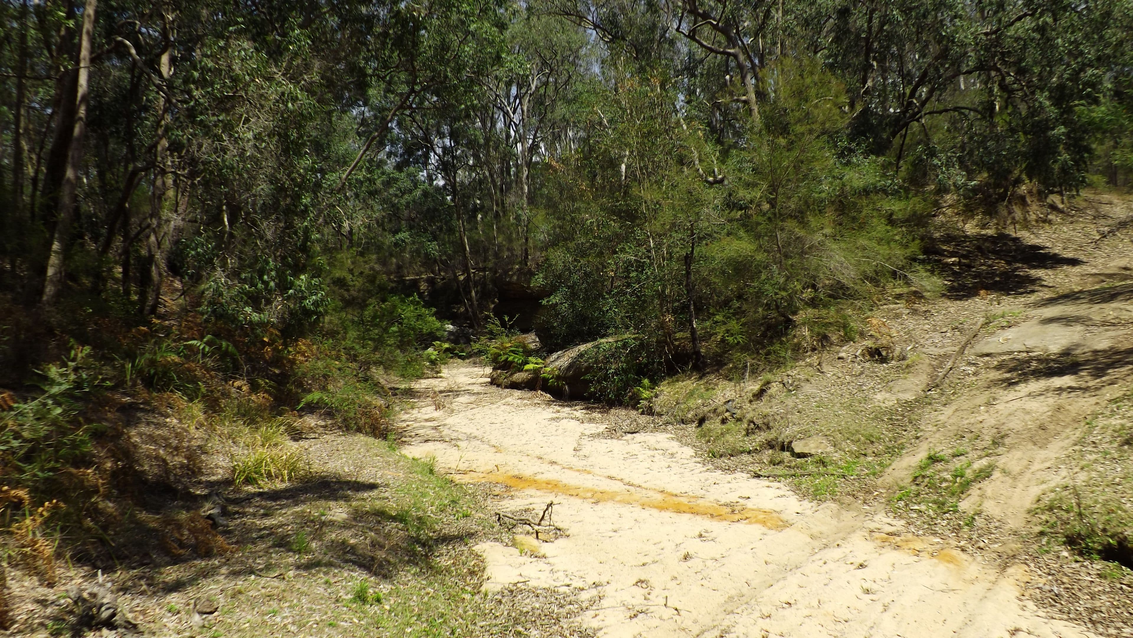 6308 Putty Road, Howes Valley NSW 2330, Howes Valley - Thumbnail 6