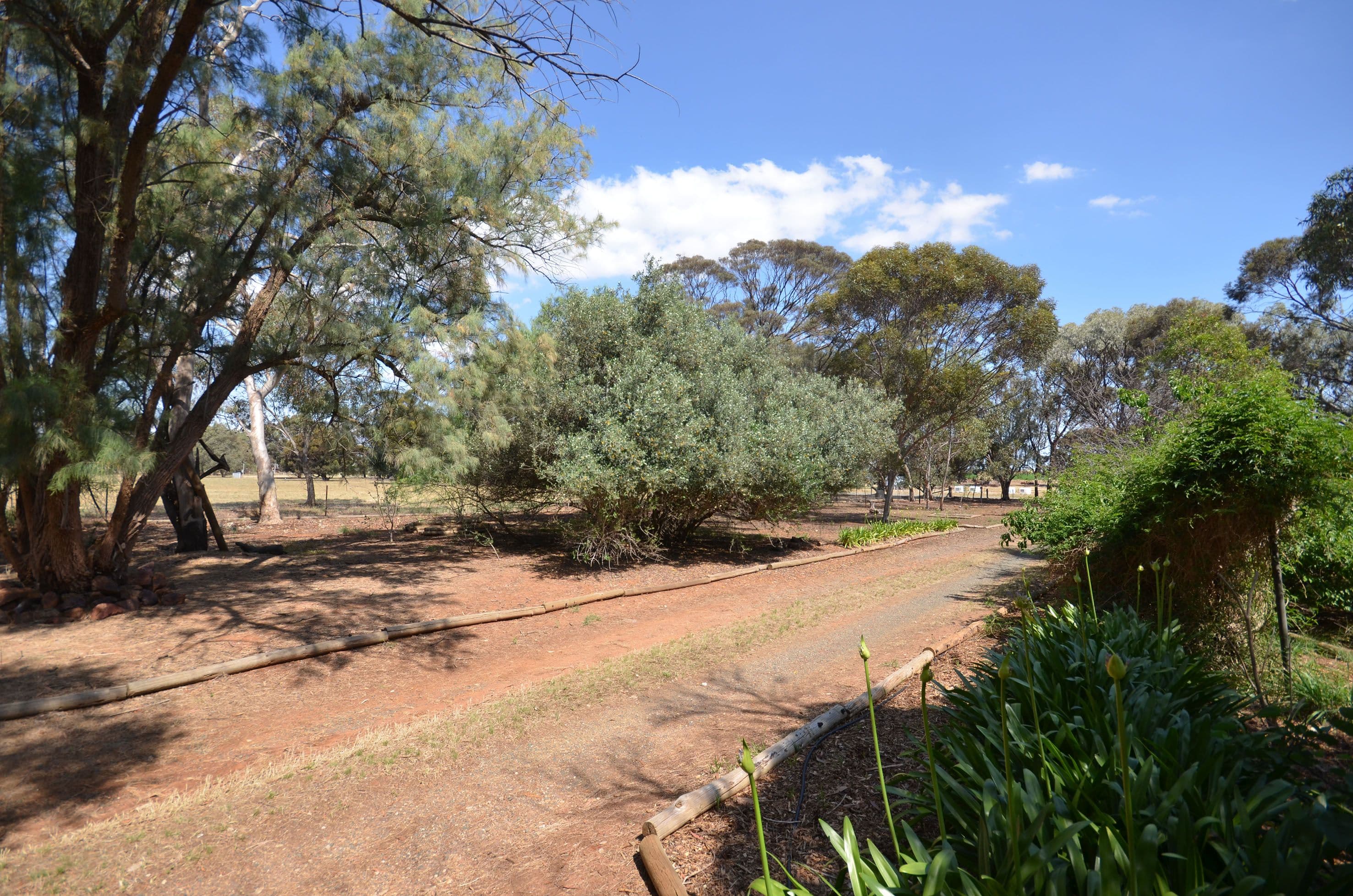 364 Jeffreys Road, Corop VIC 3559, Corop - Thumbnail 5