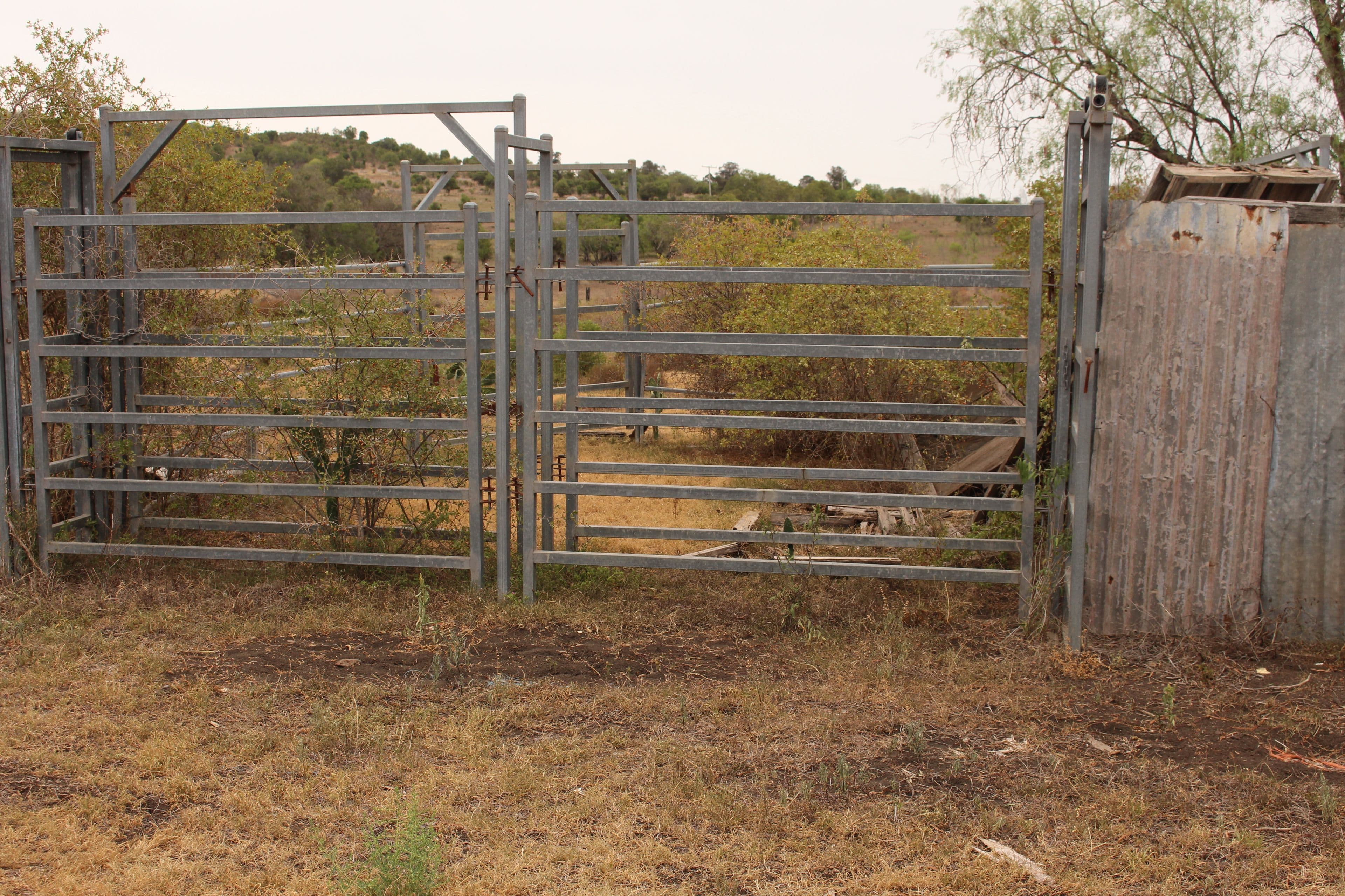 293 Heinemann Road, Scrubby Mountain, Pittsworth QLD 4356, Pittsworth - Thumbnail 6