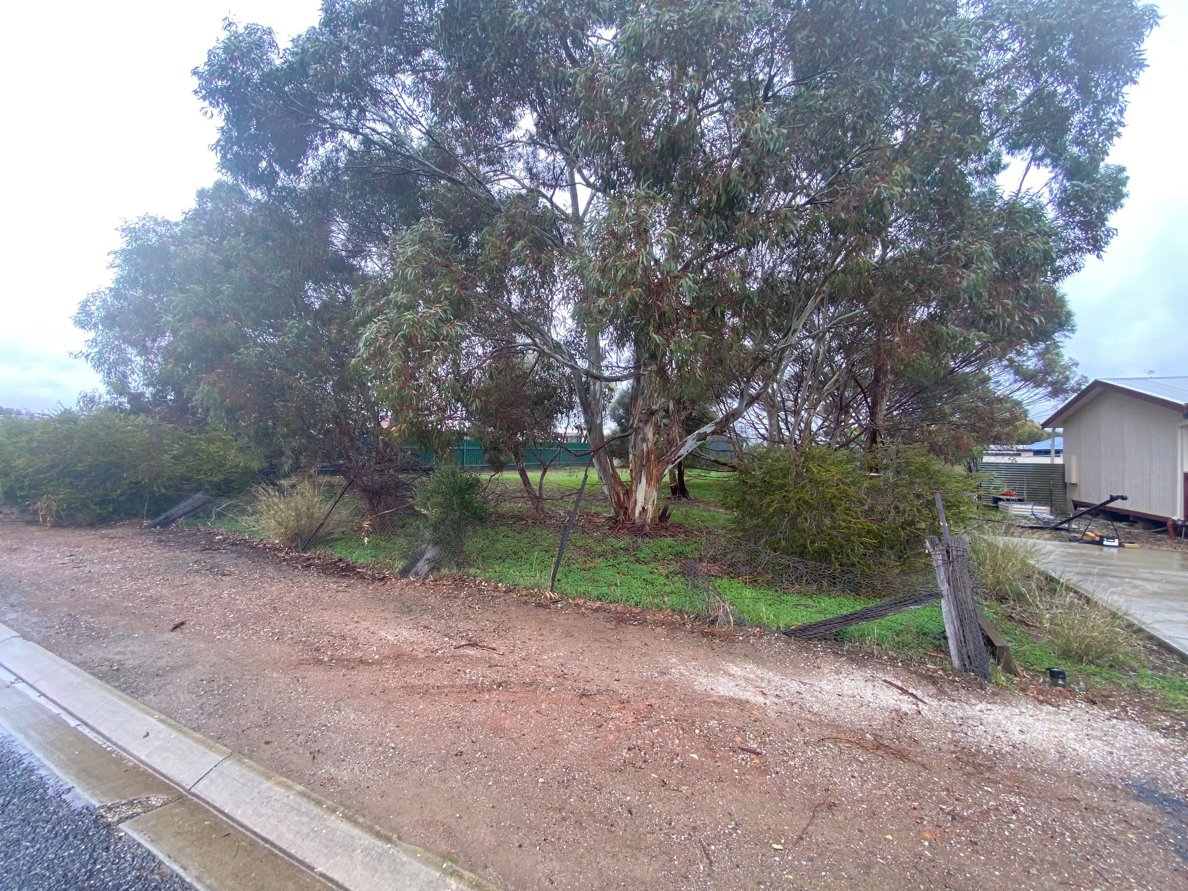 10 Friedrich Street, Freeling SA 5372, Freeling - Thumbnail 3