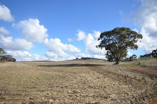 "Huxley's'" Curio Highway, Marrabel SA 5413, Marrabel - Thumbnail 3