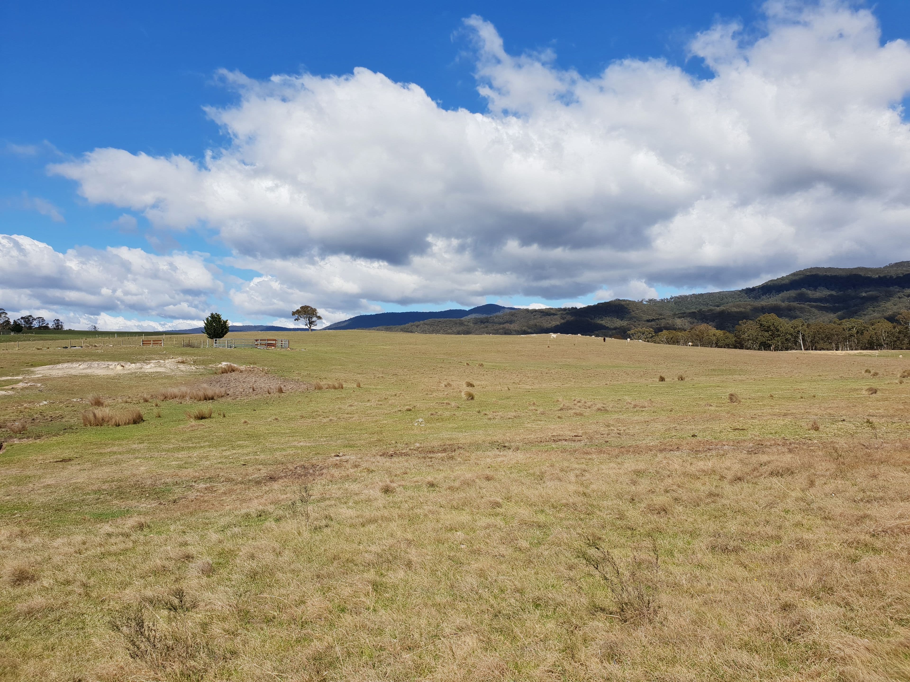 111 Hereford Hall Road, Hereford Hall, Braidwood NSW 2622, Braidwood - Thumbnail 7