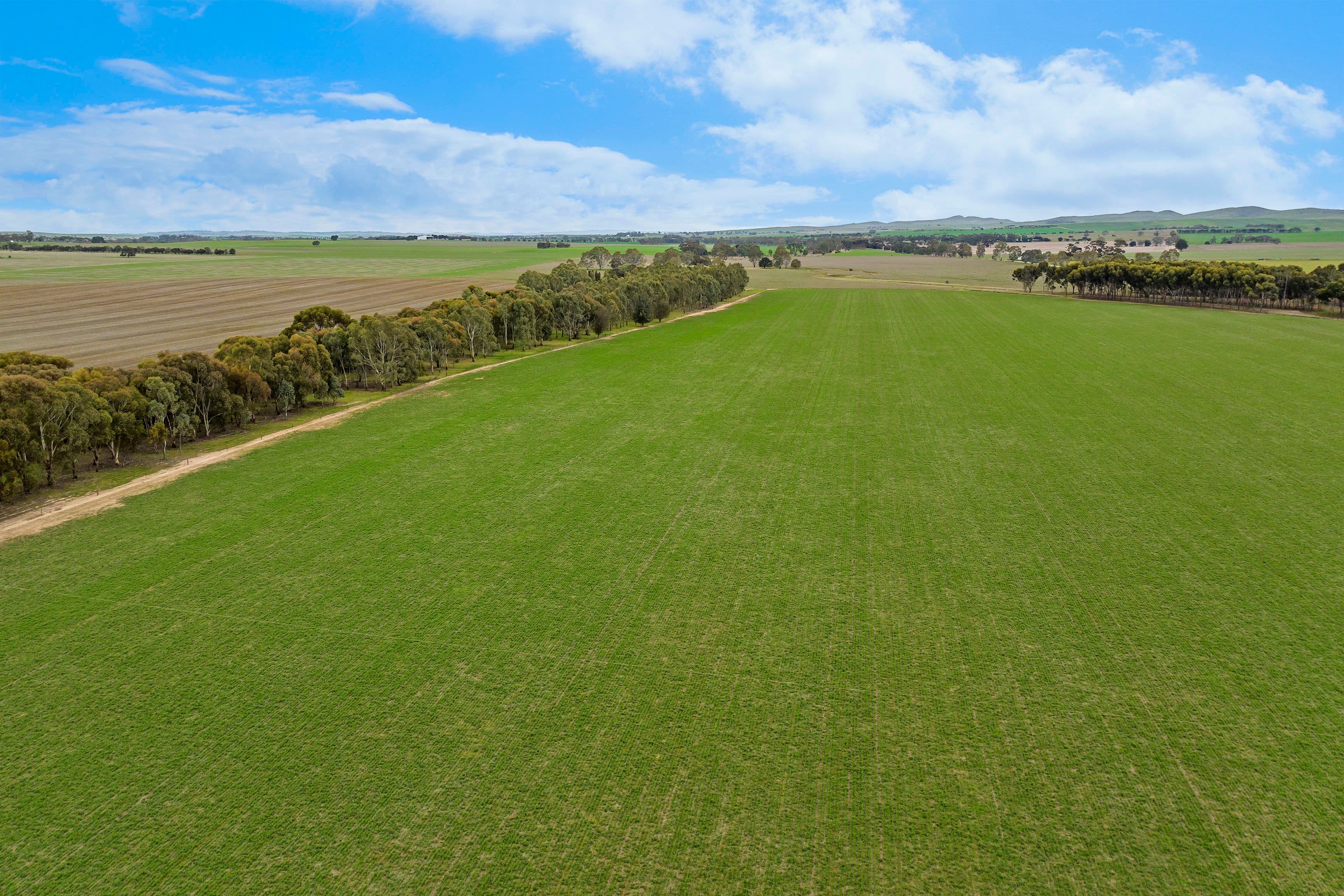 Lot 2 'East' 206 Lally Road, Hill River SA 5453, Hill River - Image 1