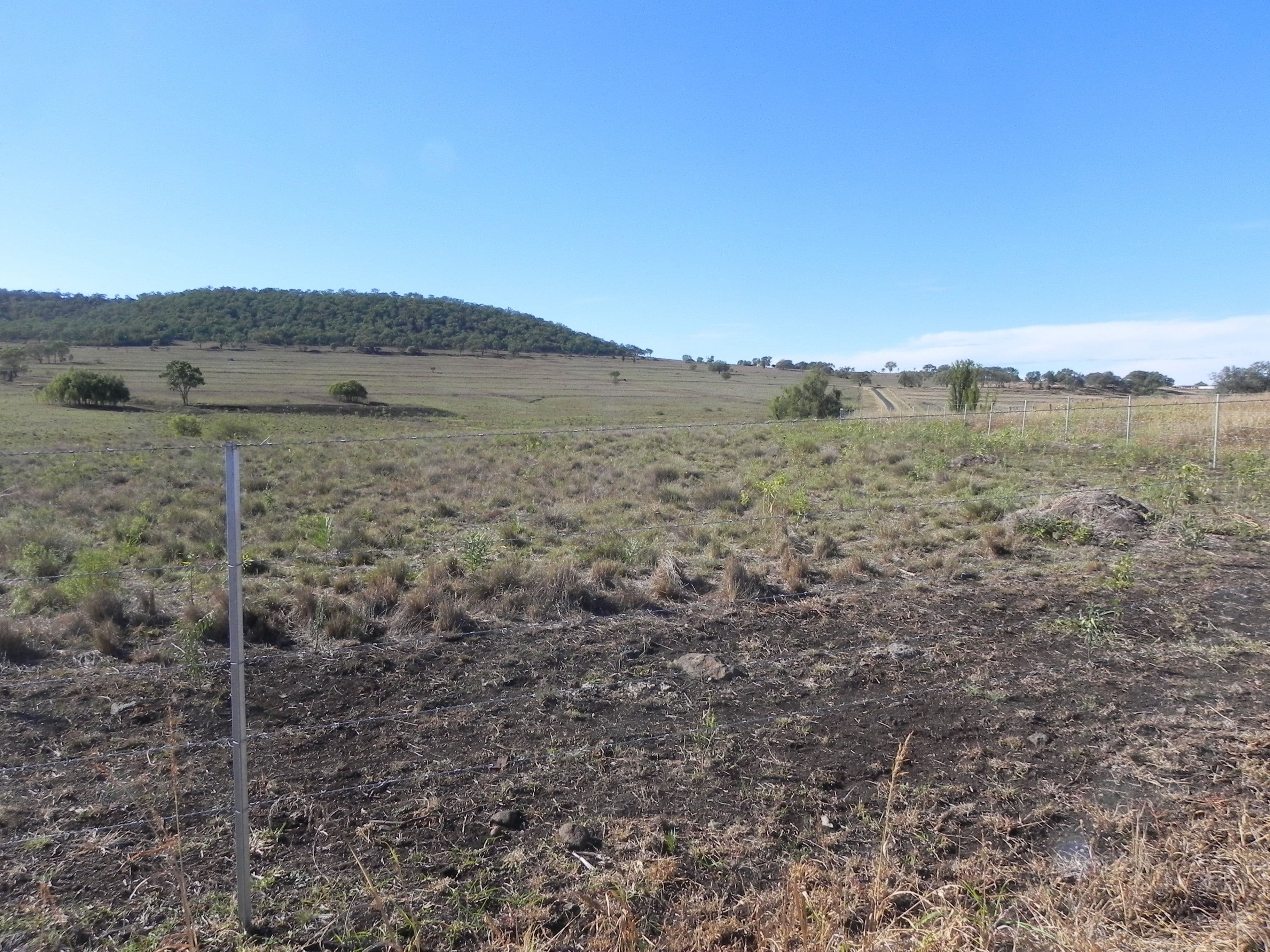 534 Linthorpe Valley Road, Southbrook QLD 4363, Southbrook - Thumbnail 7