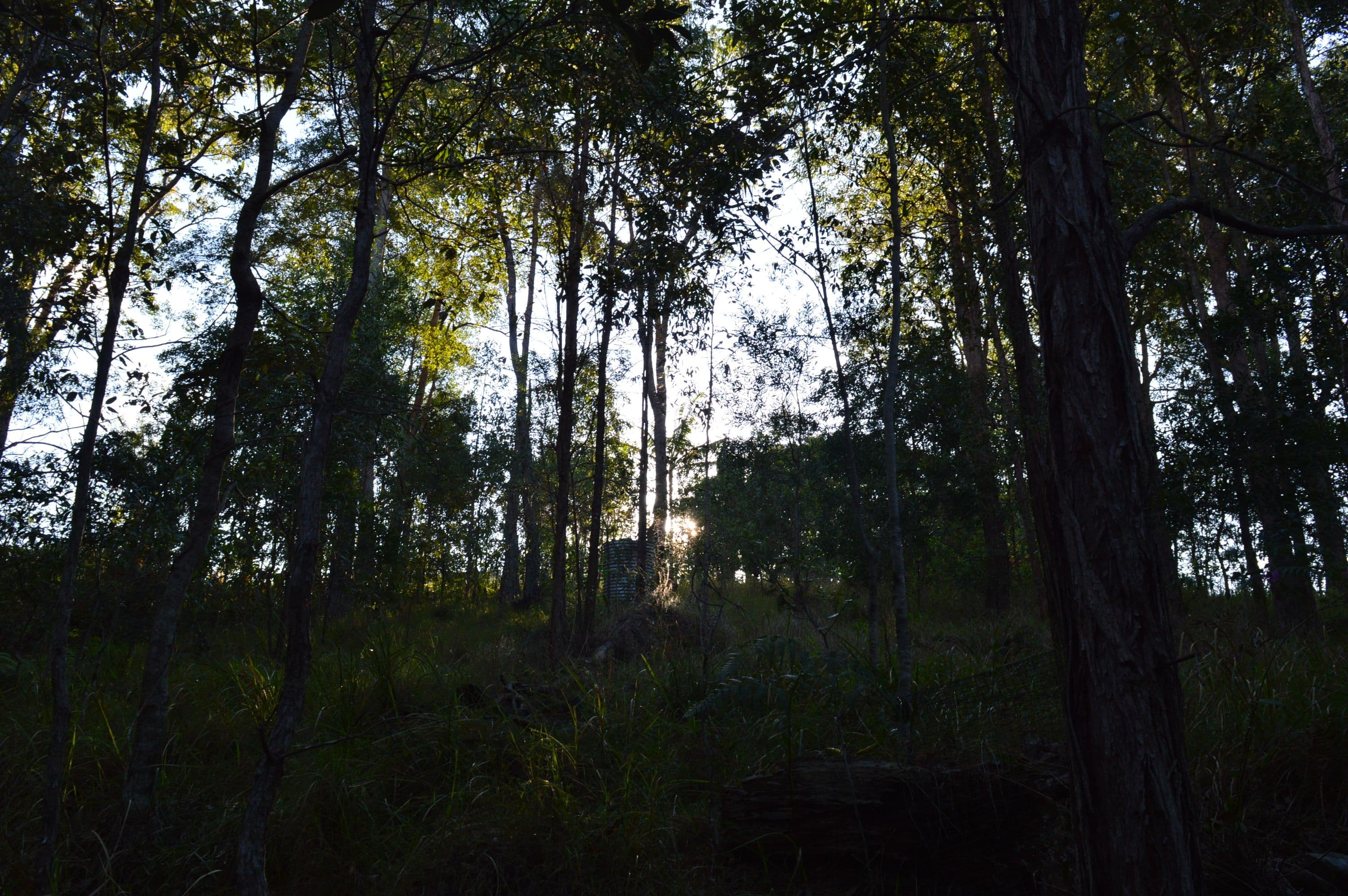 326 Old Peachester Road, Peachester QLD 4519, Peachester - Thumbnail 6