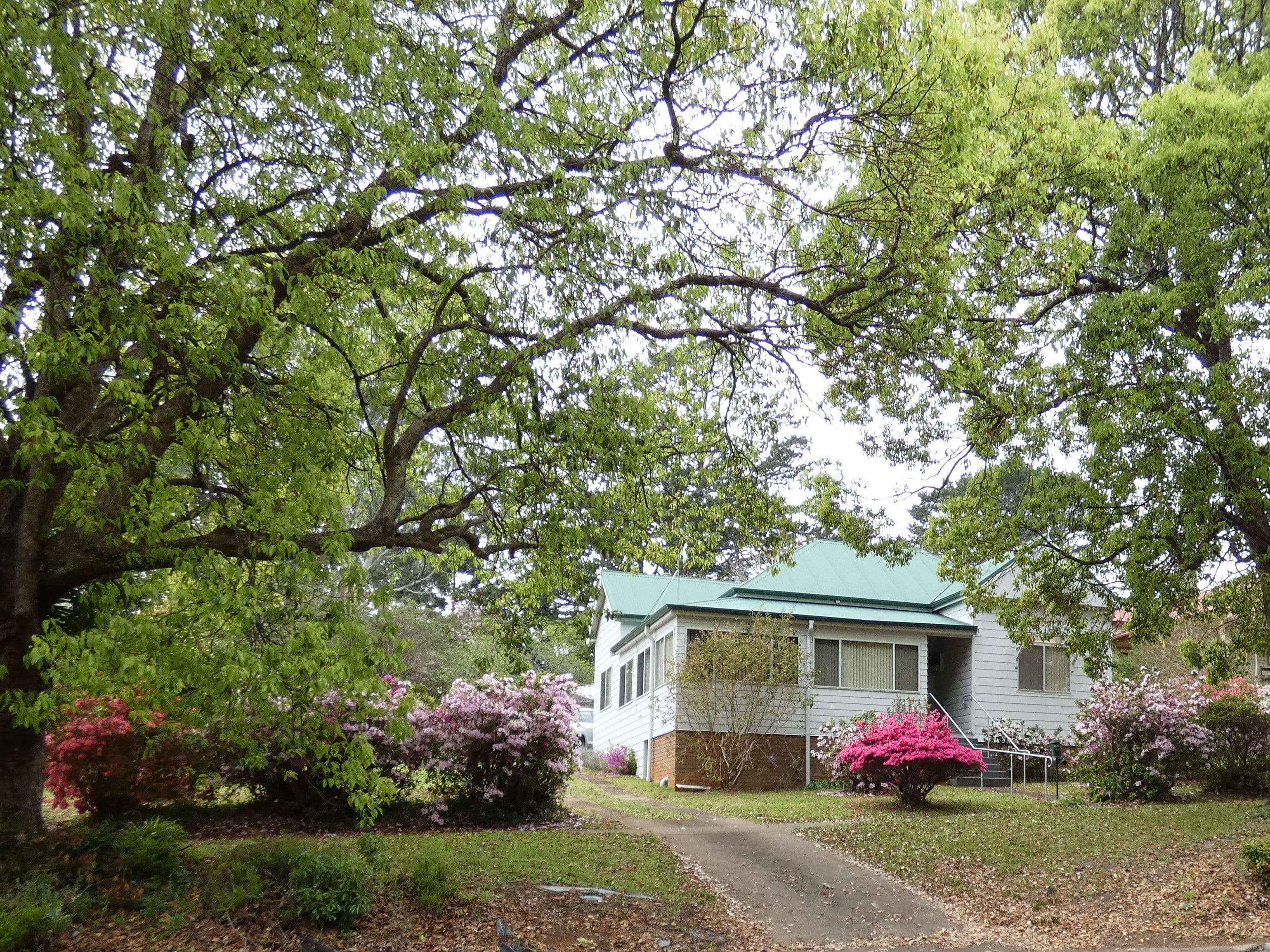 10 Karabin Street, Dorrigo - Image 1