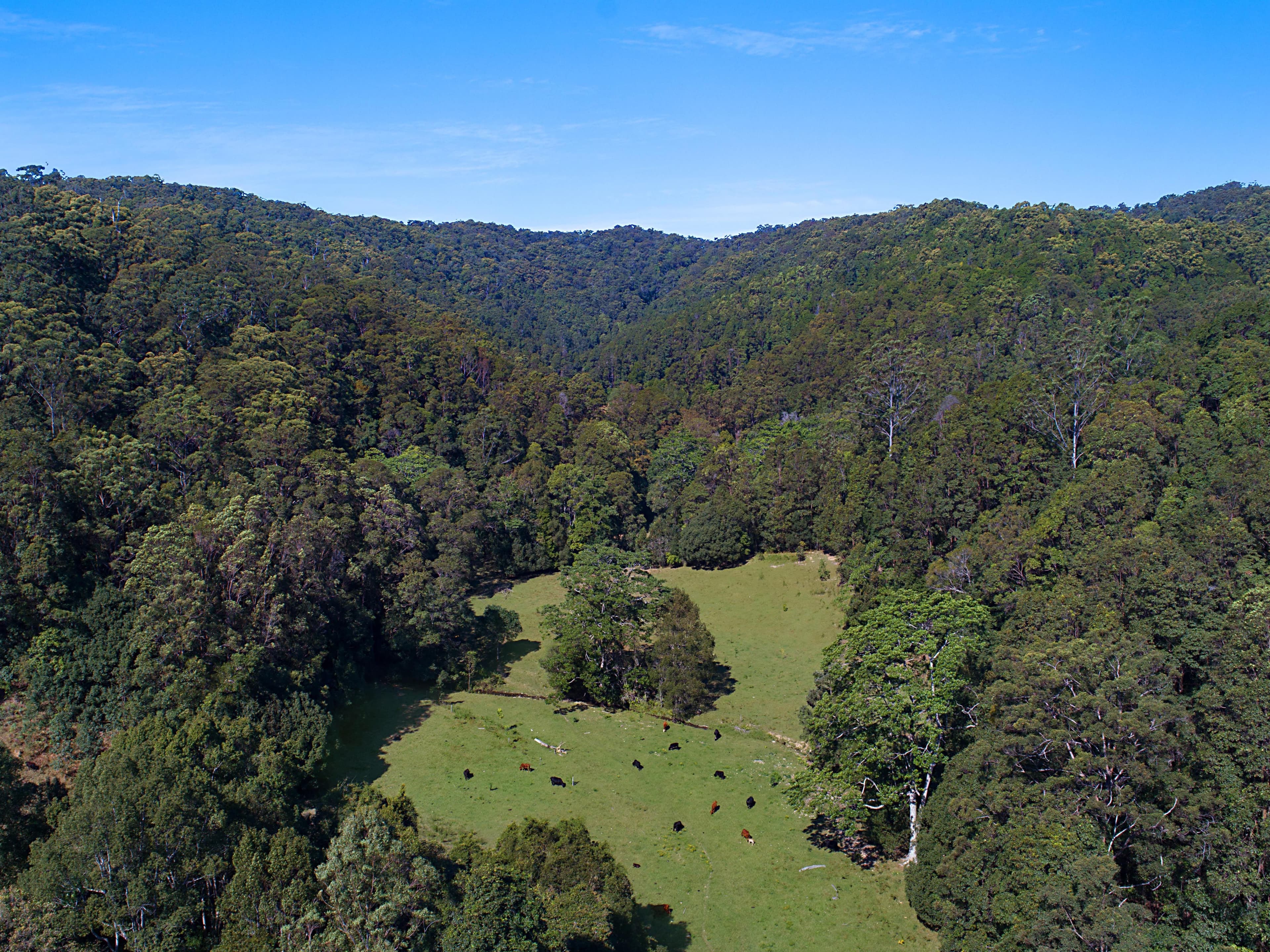 679 Urliup Road, Urliup NSW 2484, Urliup - Thumbnail 5