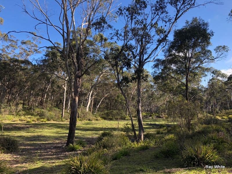 98 Kirriford Road, Nerriga NSW 2622, Nerriga - Thumbnail 2