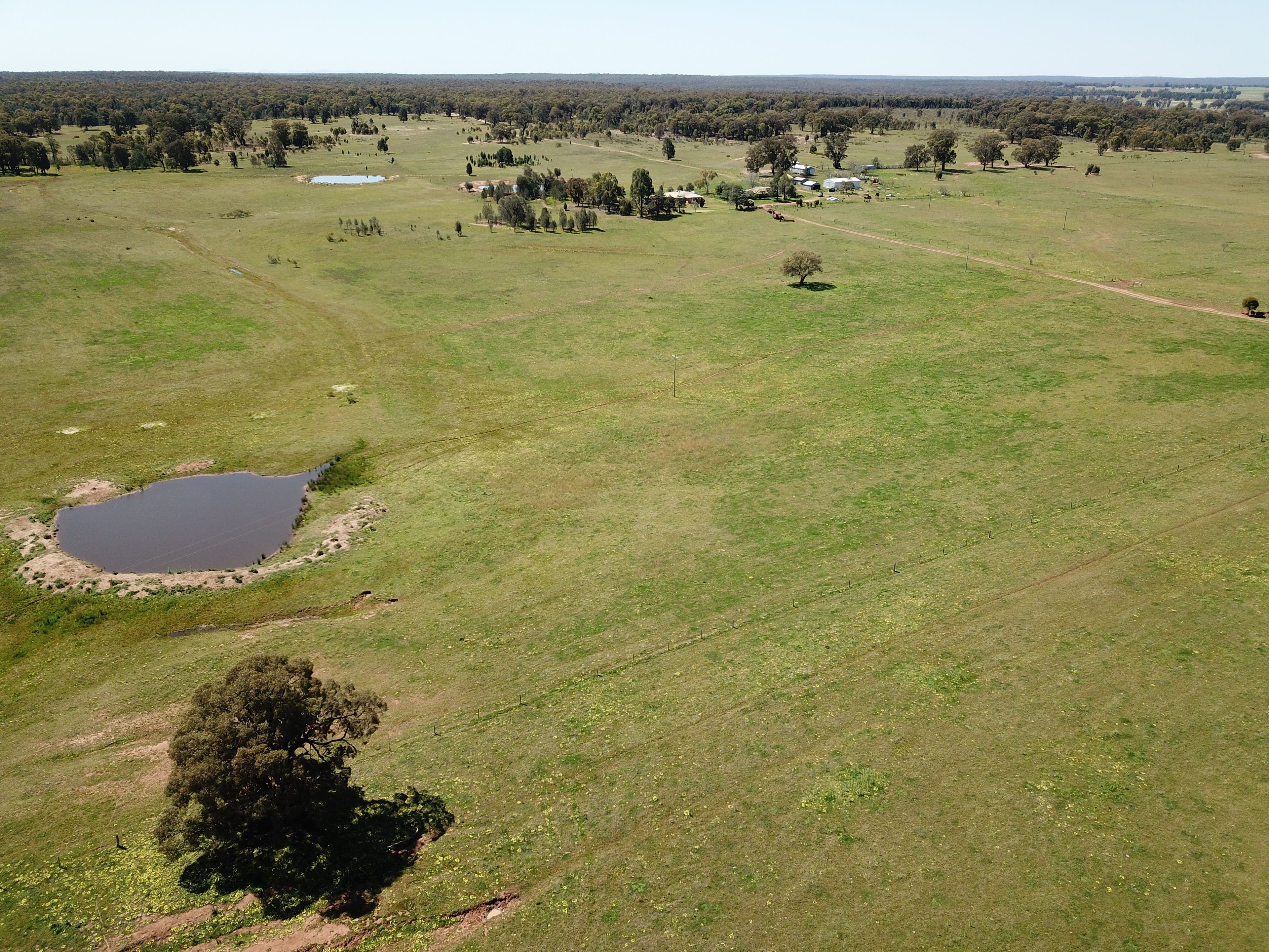 'Mirfield' 119L Mendooran Road, Dubbo NSW 2830, Dubbo - Thumbnail 2