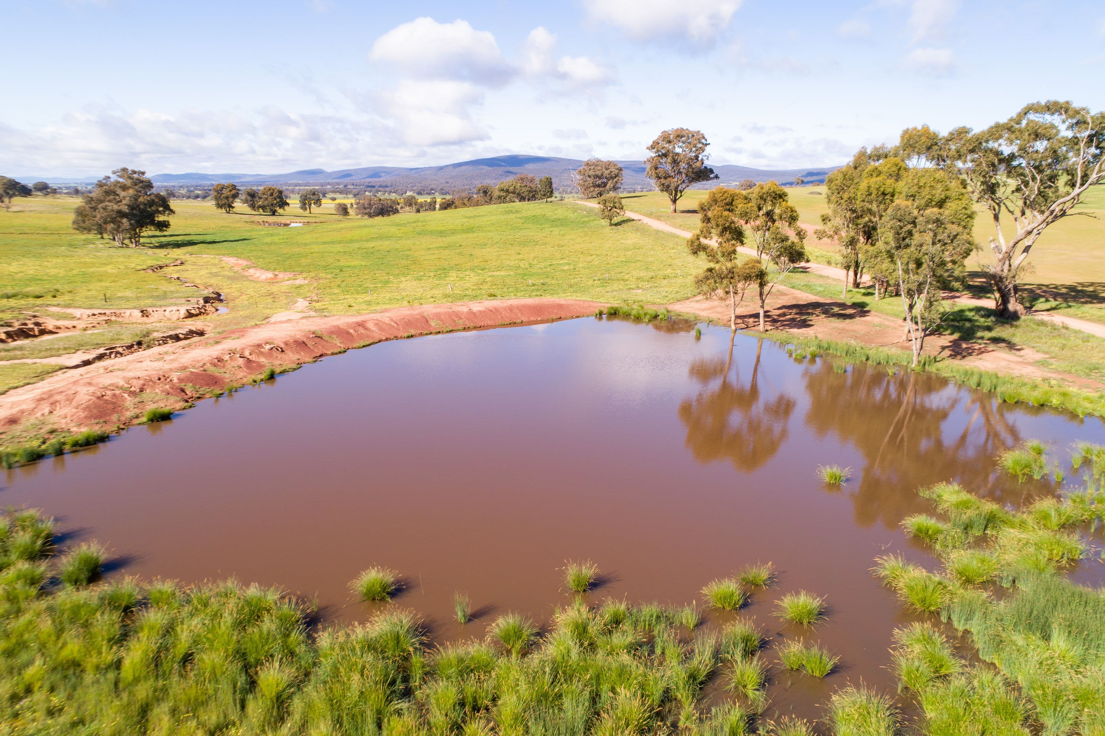 Jayton North' Fragar Road, COWRA NSW 2794, Cowra - Thumbnail 3
