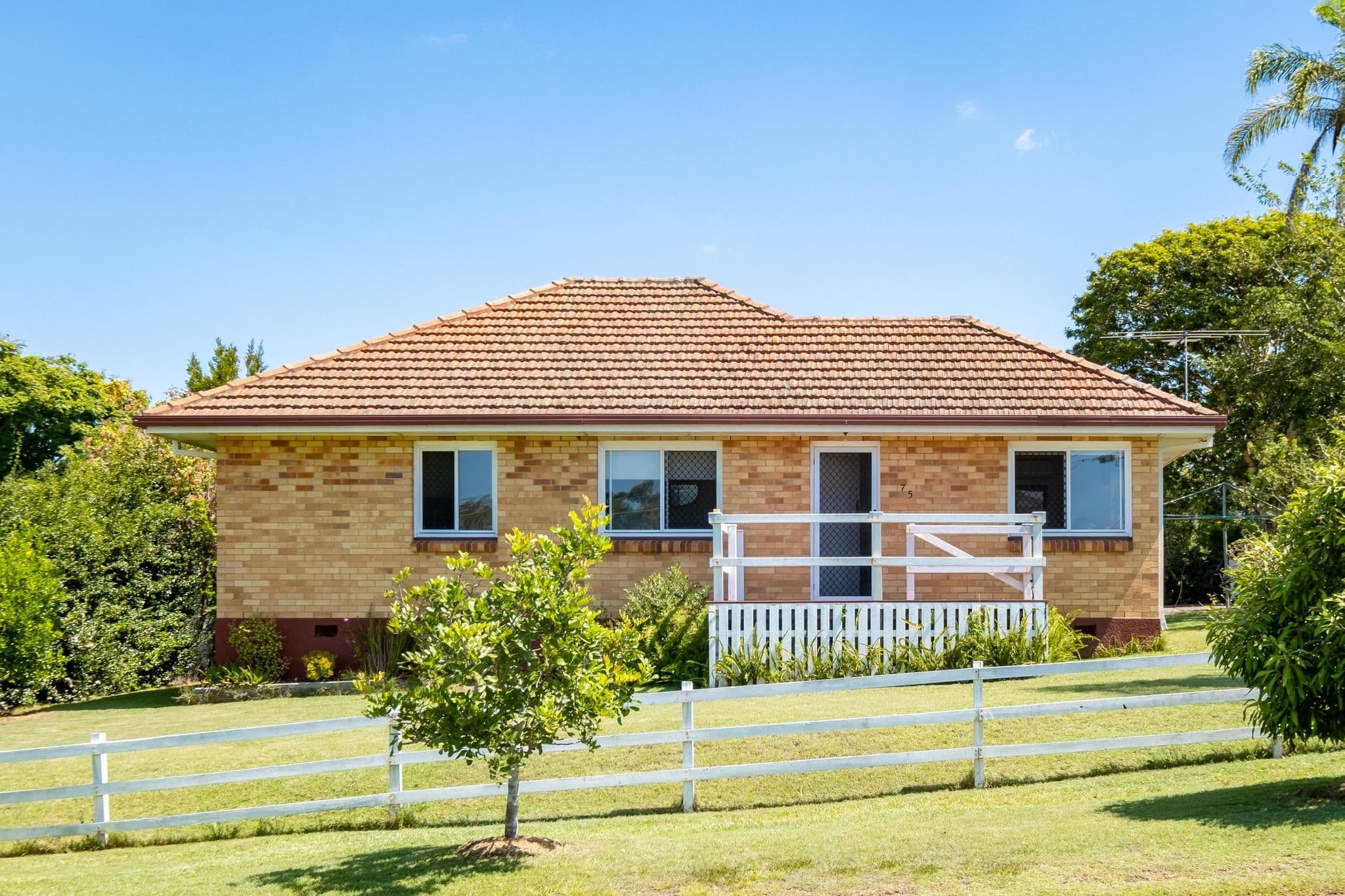 75 Abbeville Street, Upper Mount Gravatt QLD 4122, Upper Mount Gravatt - Thumbnail 2
