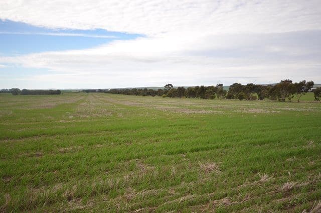 "Ashmore Farm" - Ashmore Smith Road, Mintaro SA 5415, Mintaro - Thumbnail 4