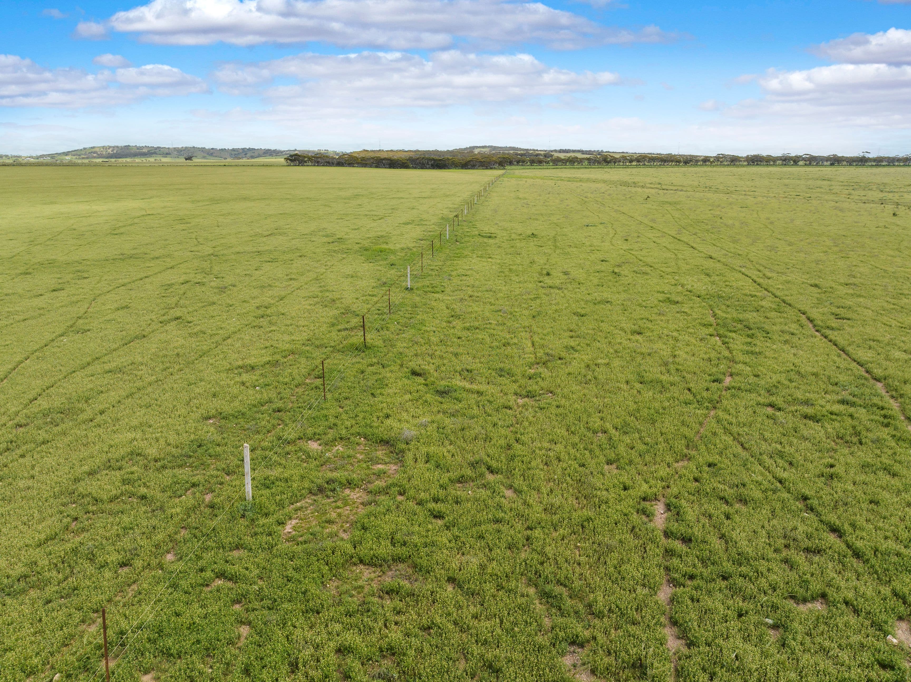 'Moseys' Stock Route Road, Robertstown SA 5381, Robertstown - Thumbnail 6