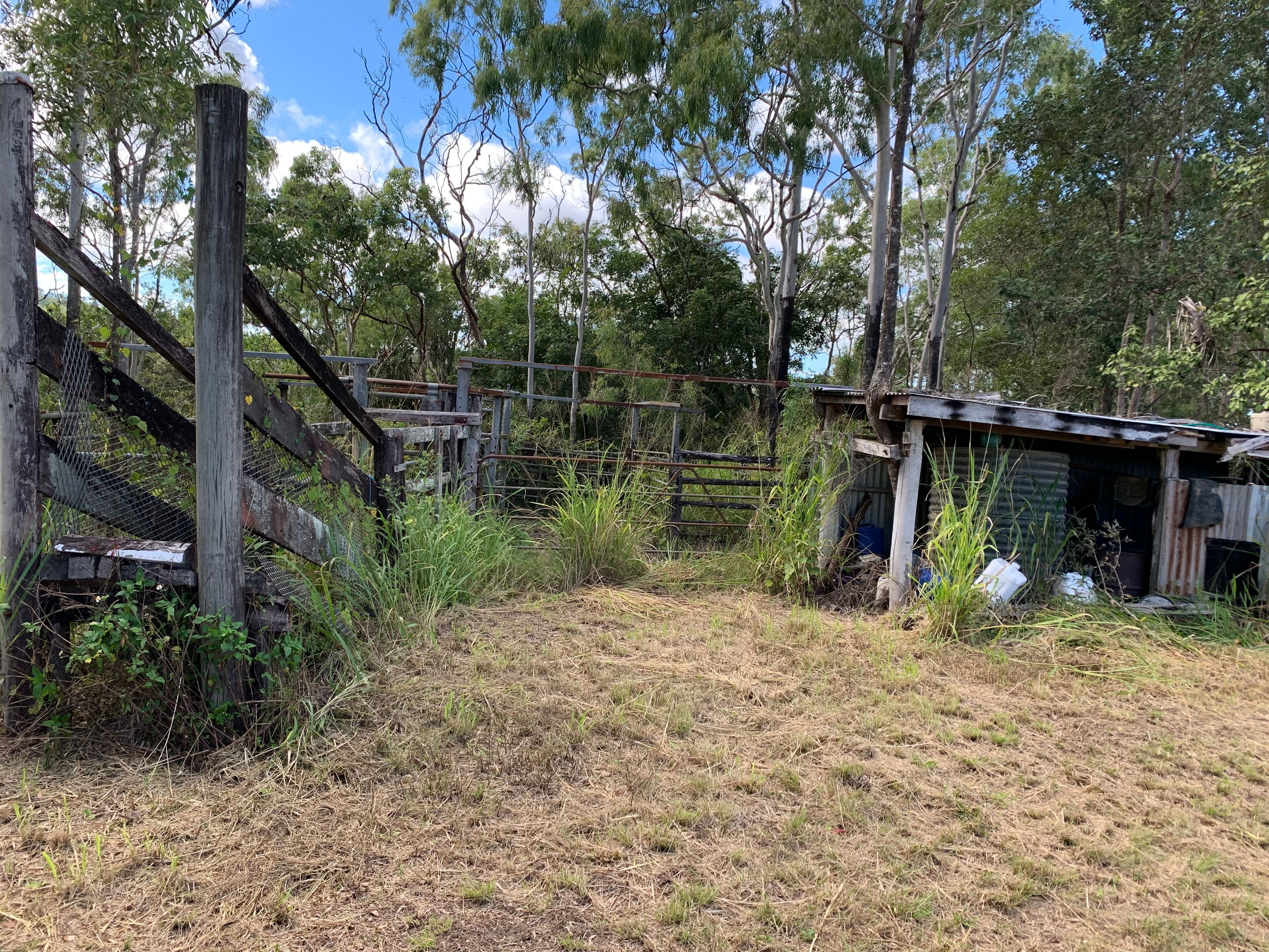 186 Brooks Road, Sarina QLD 4737, Sarina - Thumbnail 7