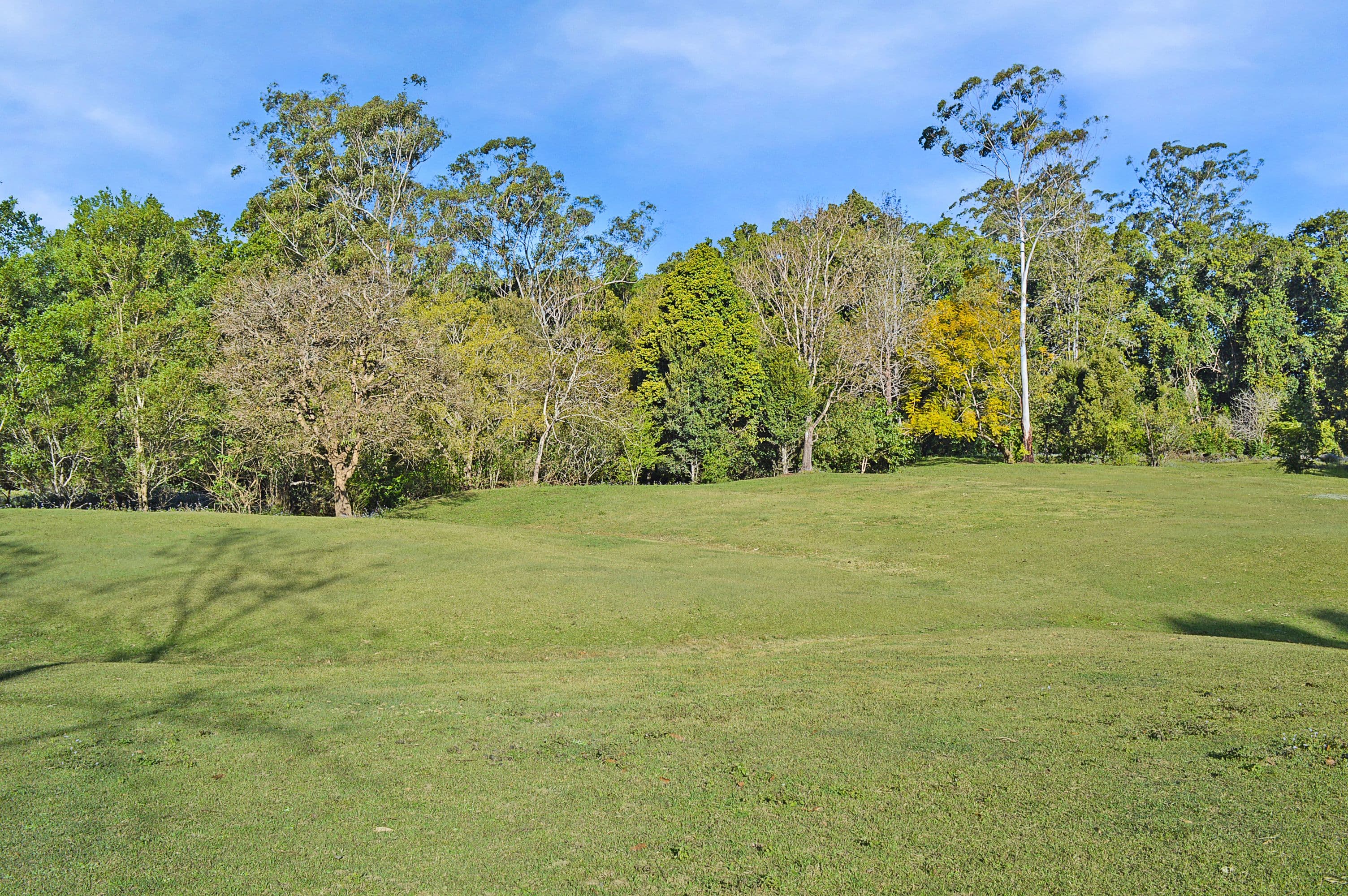 164 Bald Knob Road, Peachester QLD 4519, Peachester - Thumbnail 8