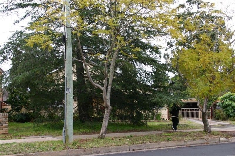75 Old Castle Hill Road, Castle Hill NSW 2154, Castle Hill - Thumbnail 2