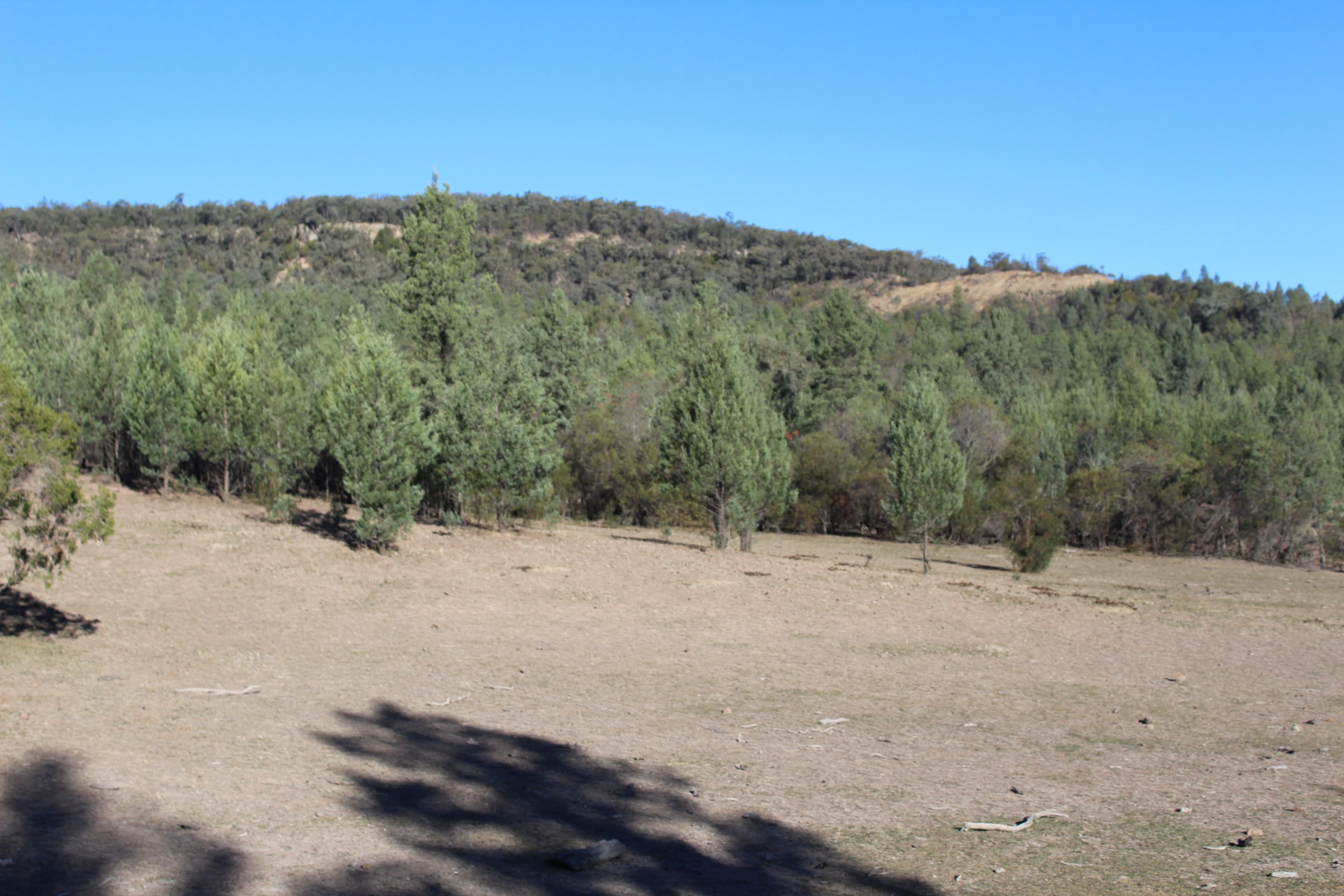 '' The Summit", Berrigal NSW 2390, Berrigal - Image 1