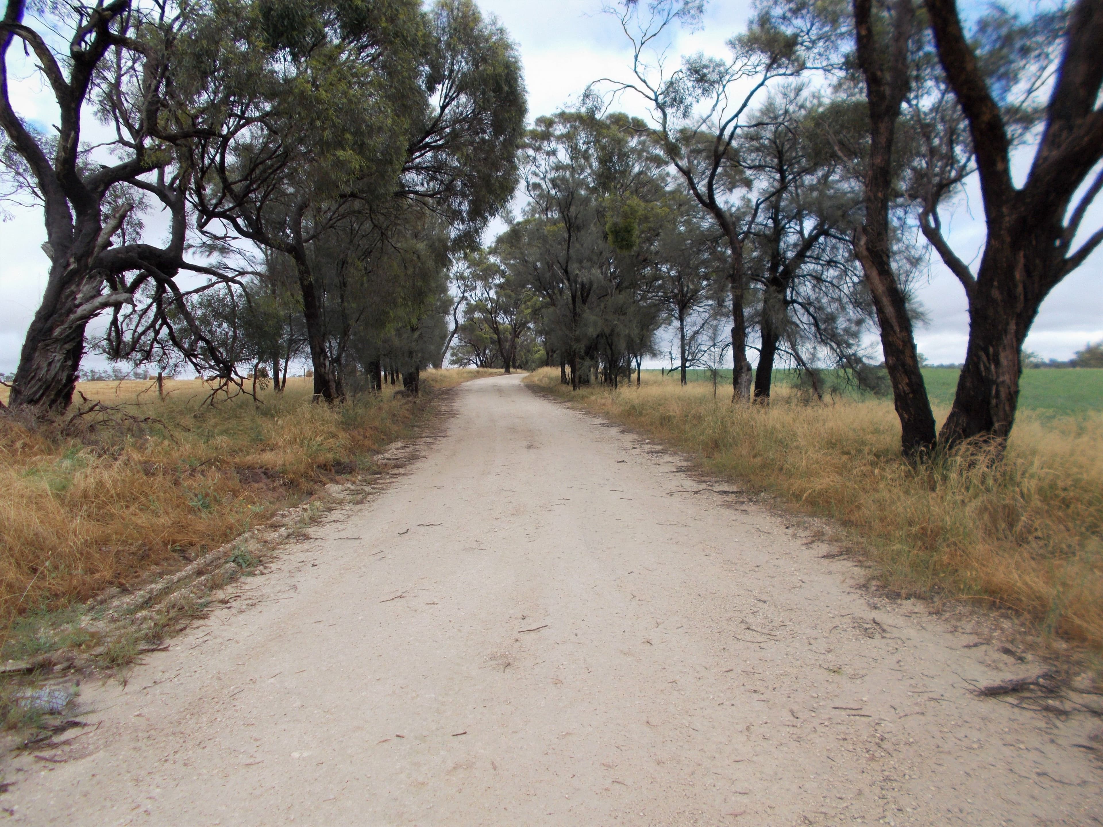 Proposed Lot Finlayson Road, Bordertown SA 5268, Bordertown - Thumbnail 3