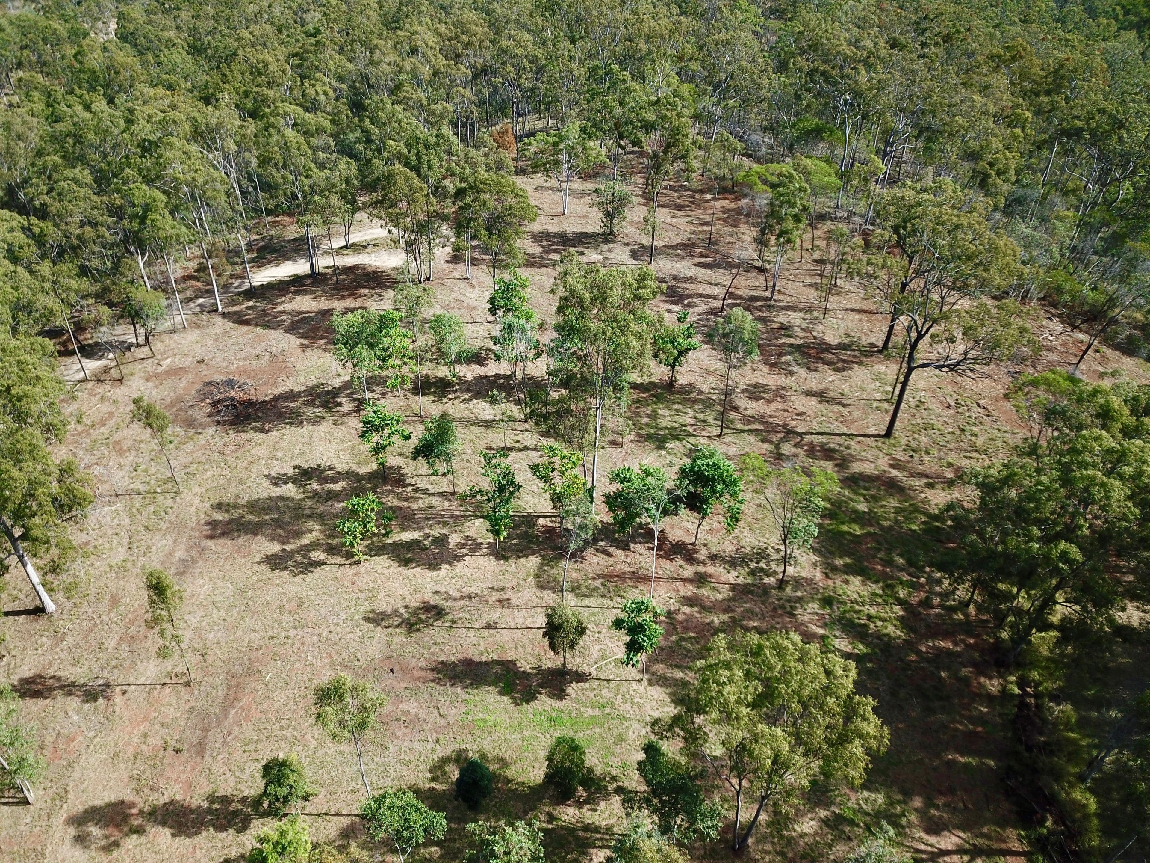 130 Lockyer View Road, Wivenhoe Pocket QLD 4306, Wivenhoe Pocket - Thumbnail 6