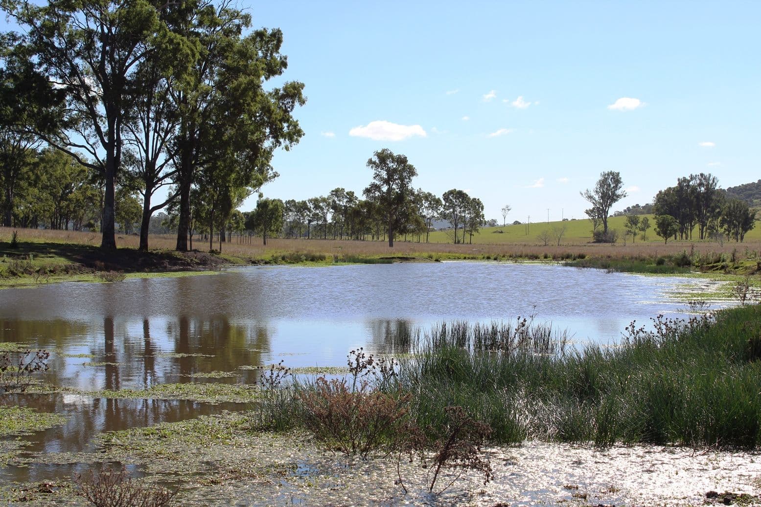 59 Zernike Lane, Scrub Creek QLD 4313, Scrub Creek - Thumbnail 3