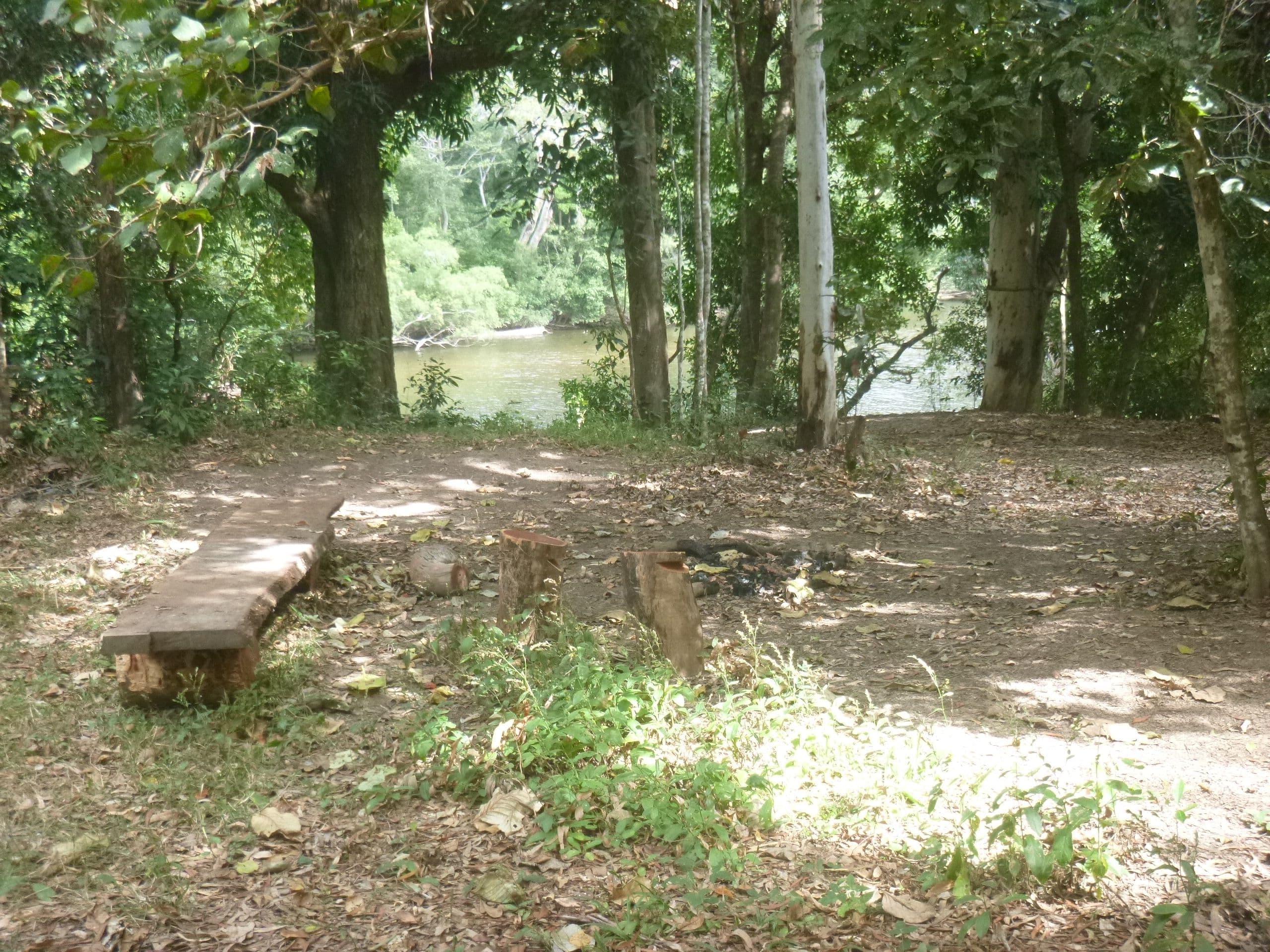 294 Shiptons Flat Road, Cooktown QLD 4895, Cooktown - Thumbnail 4