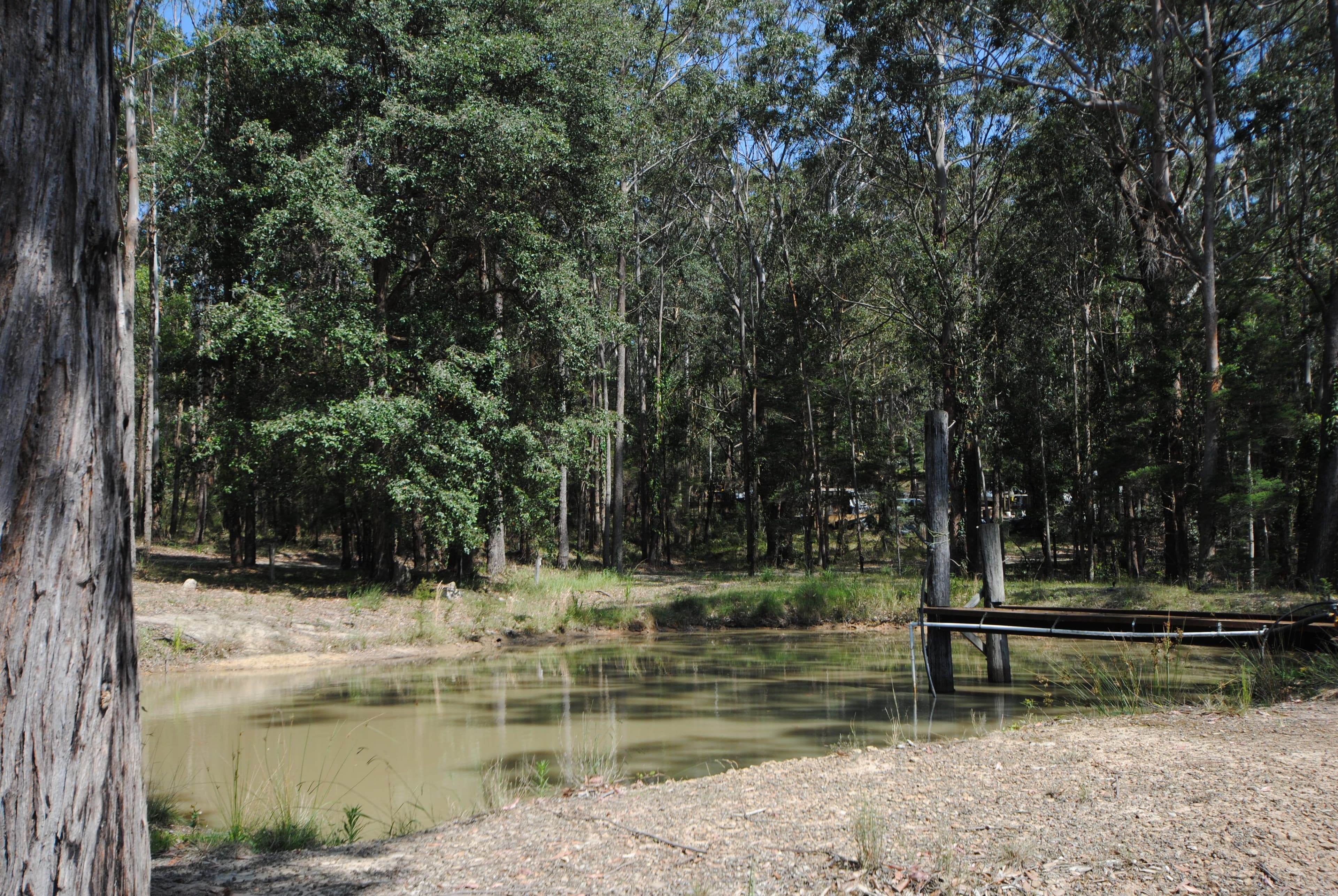 161-162 Inglewood Crescent, Tomerong NSW 2540, Tomerong - Image 1