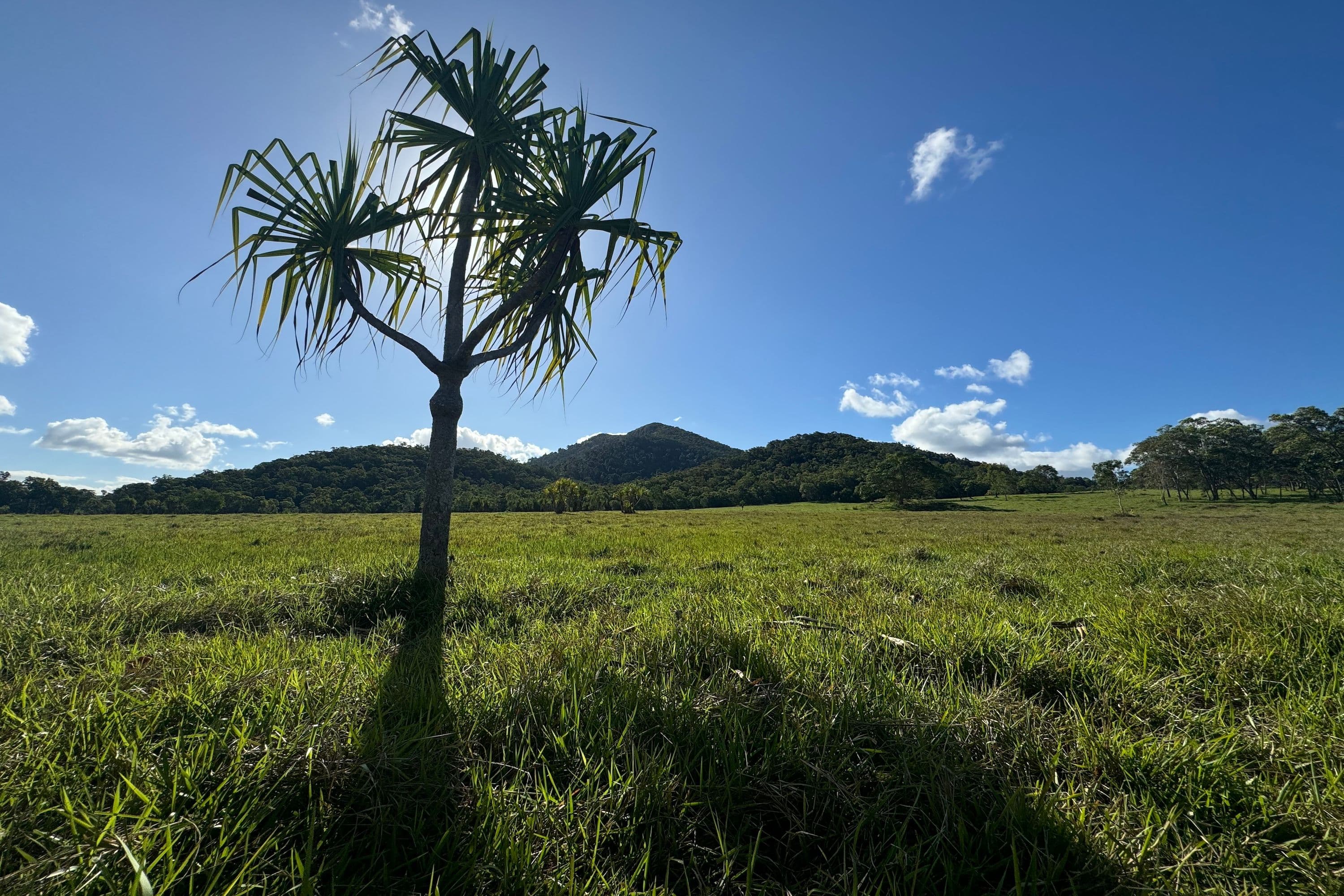 Lot 22 MARLOW, Rifle Range Road Hidden Valley, Preston QLD 4800, Preston - Thumbnail 5
