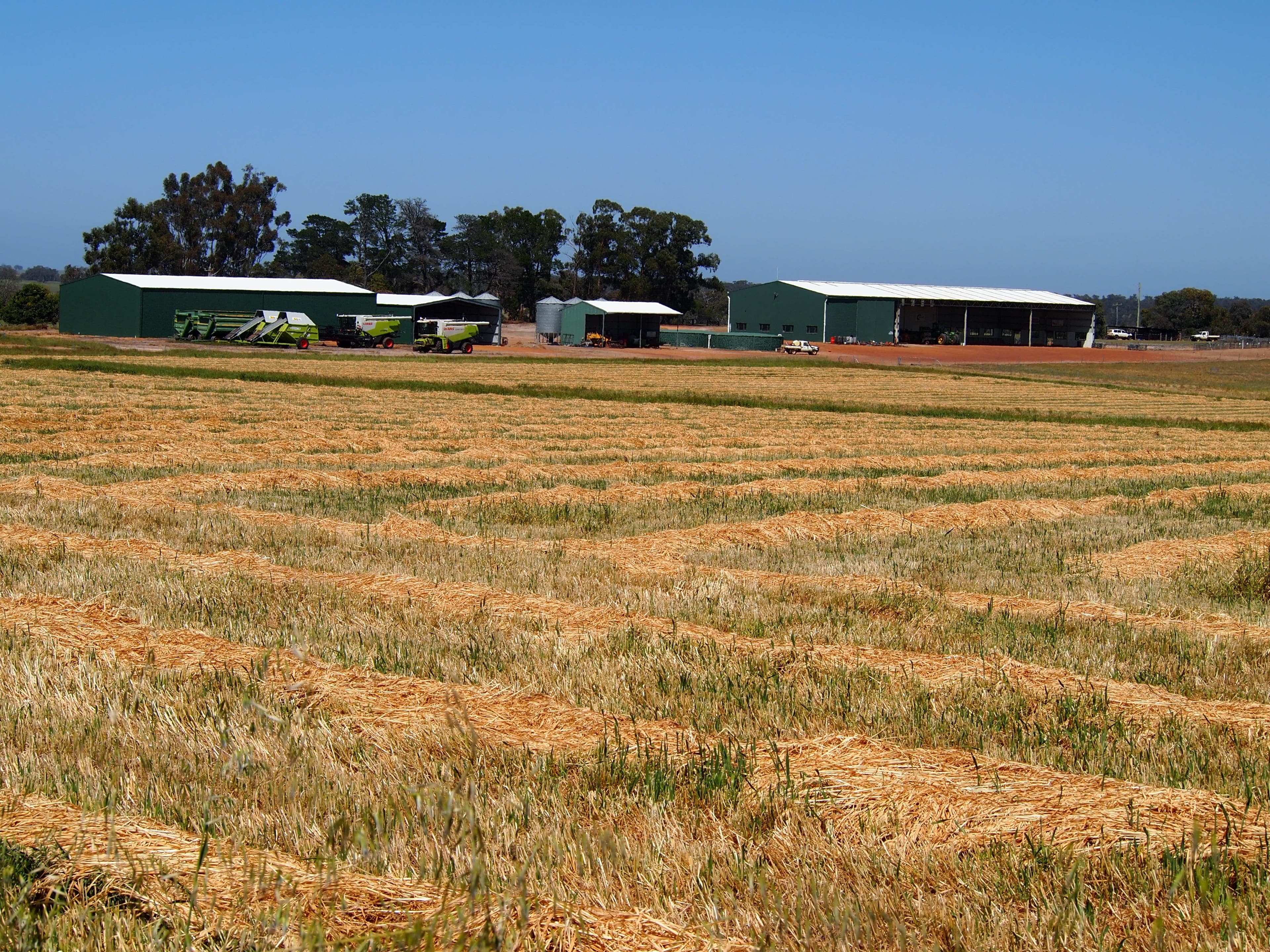 Hyfield, Crossburn, Yaralla, KOJONUP WA 6395, Kojonup - Thumbnail 2