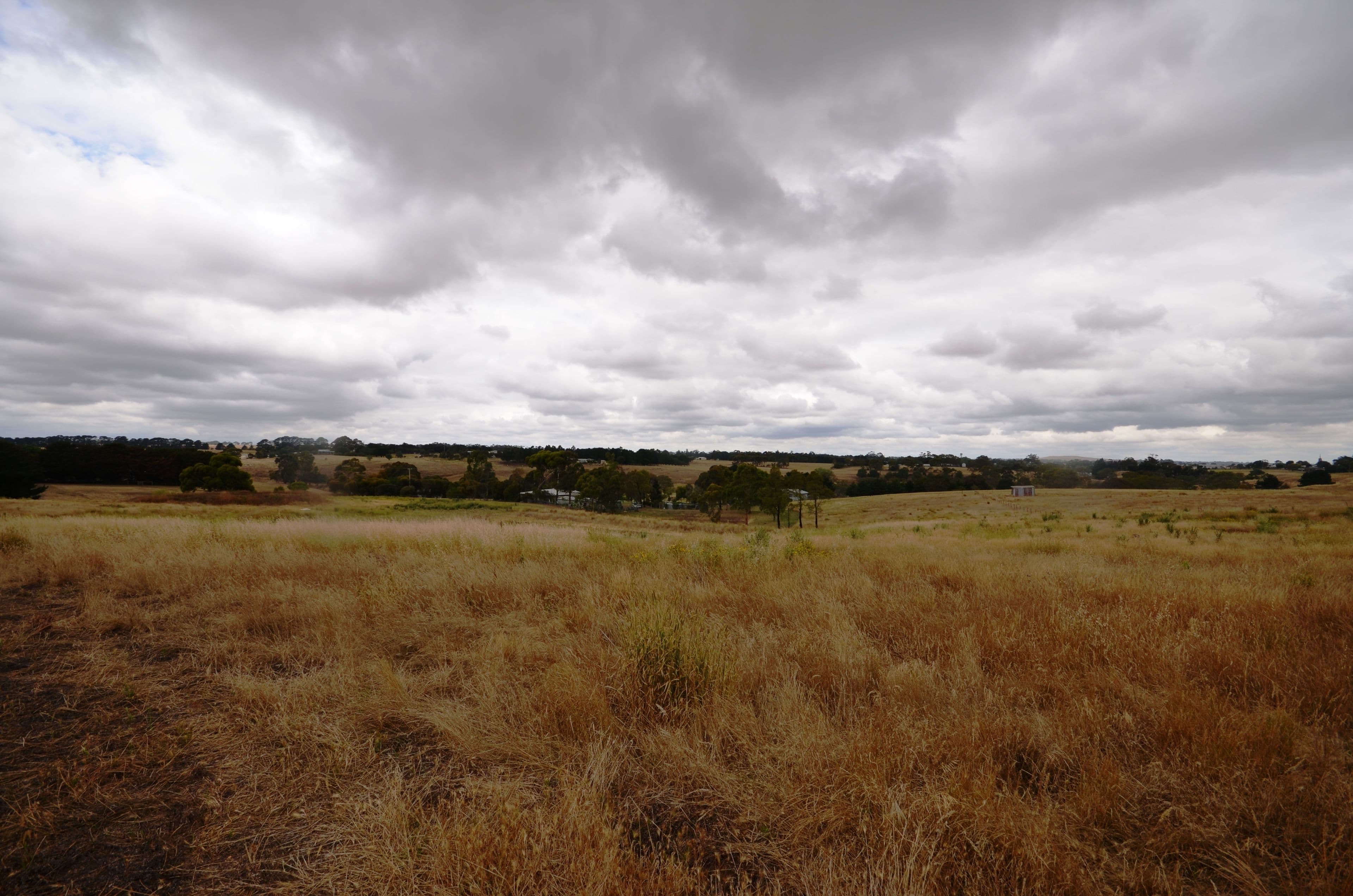 13 Pett Street, Skipton VIC 3361, Skipton - Thumbnail 2