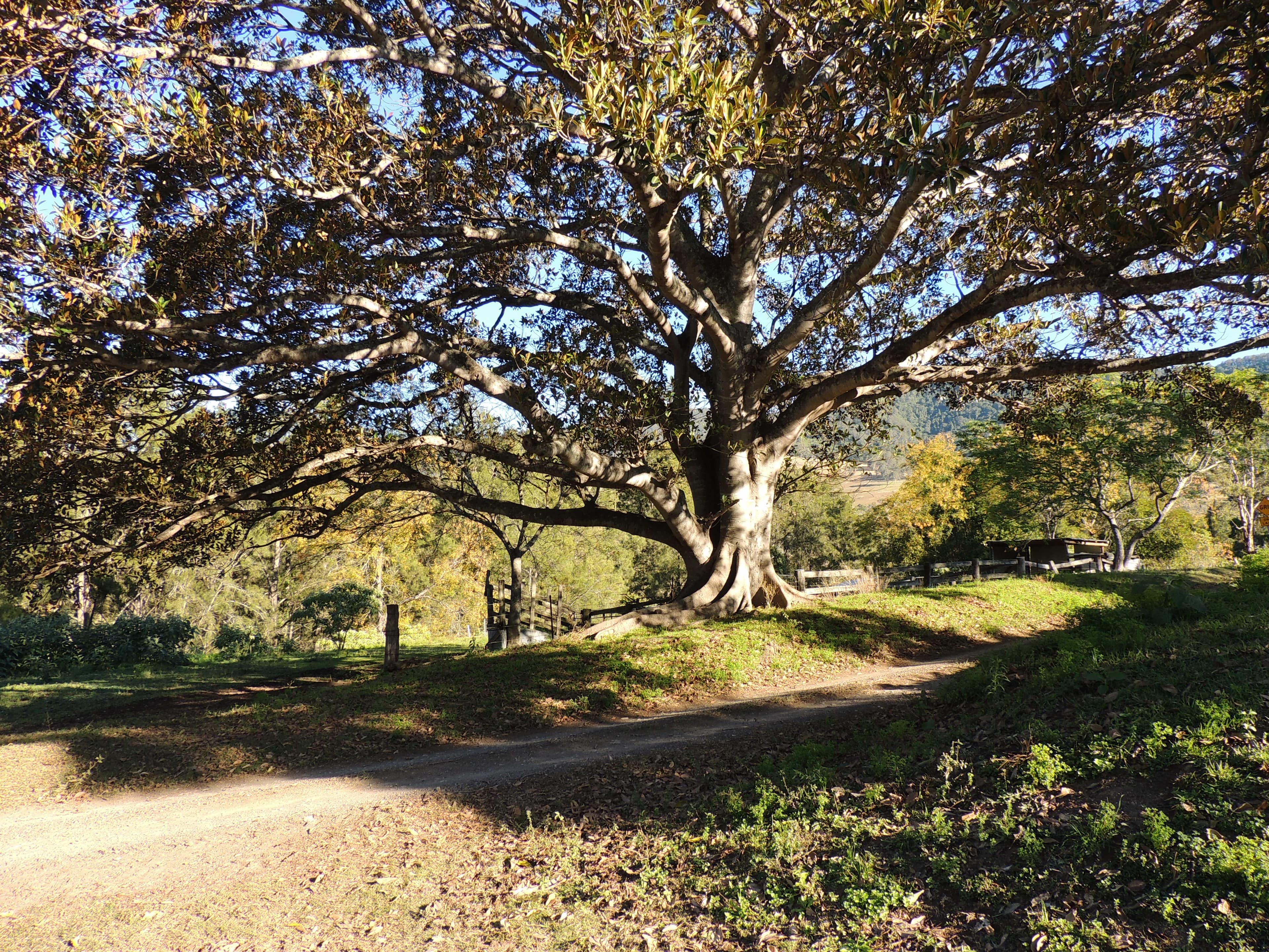 362 Cundle Flat Road, Gloucester NSW 2422, Gloucester - Image 1