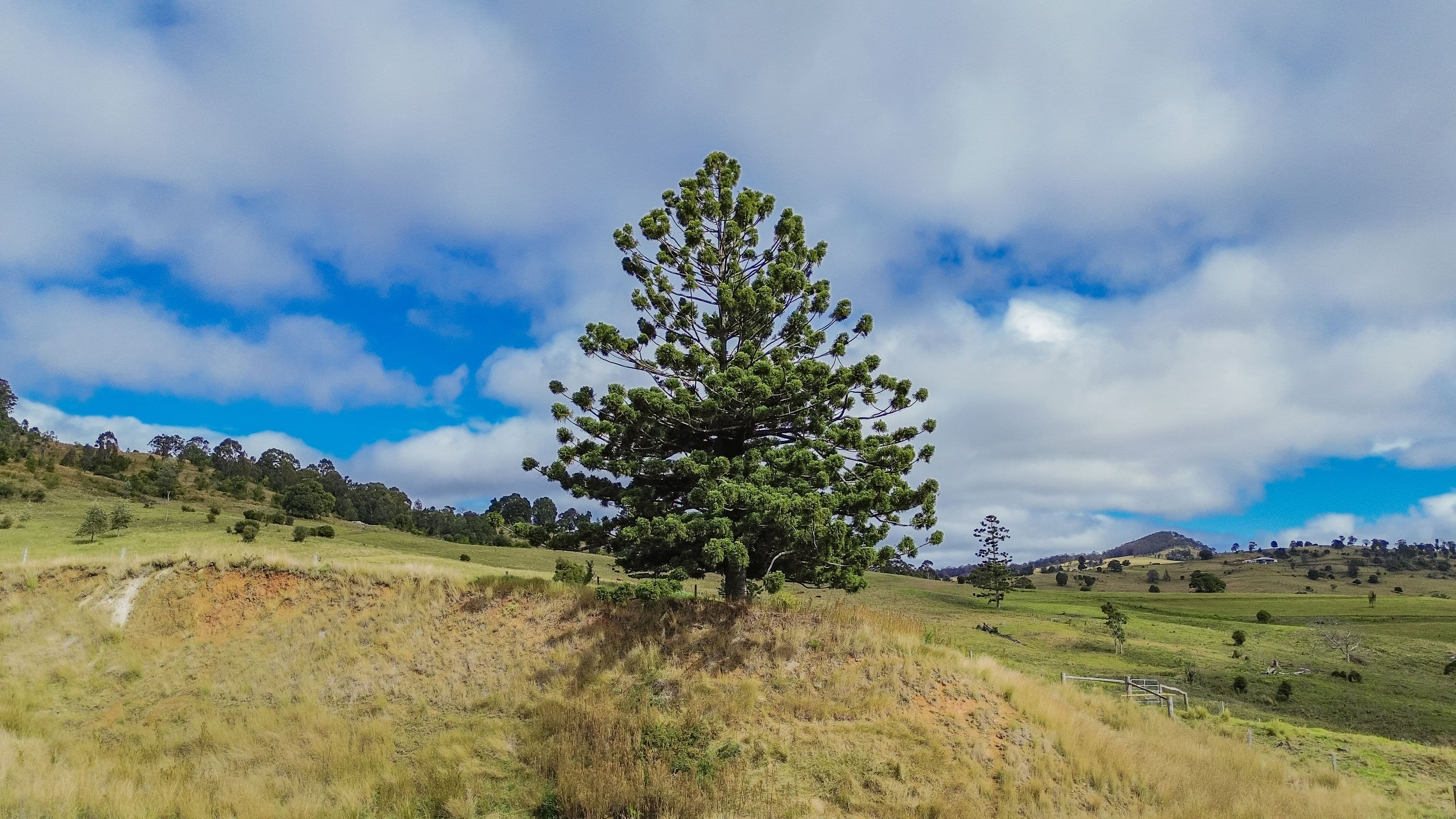 88 Spring Creek Road, Killarney QLD 4373, Killarney - Thumbnail 2